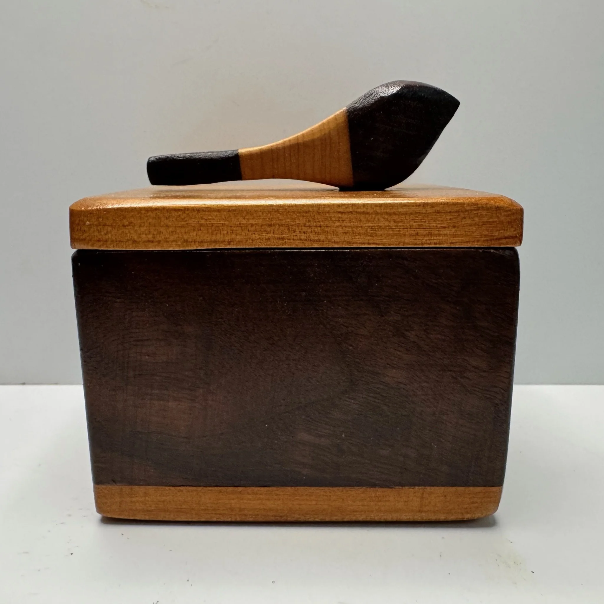 bird box 080226b.JPG