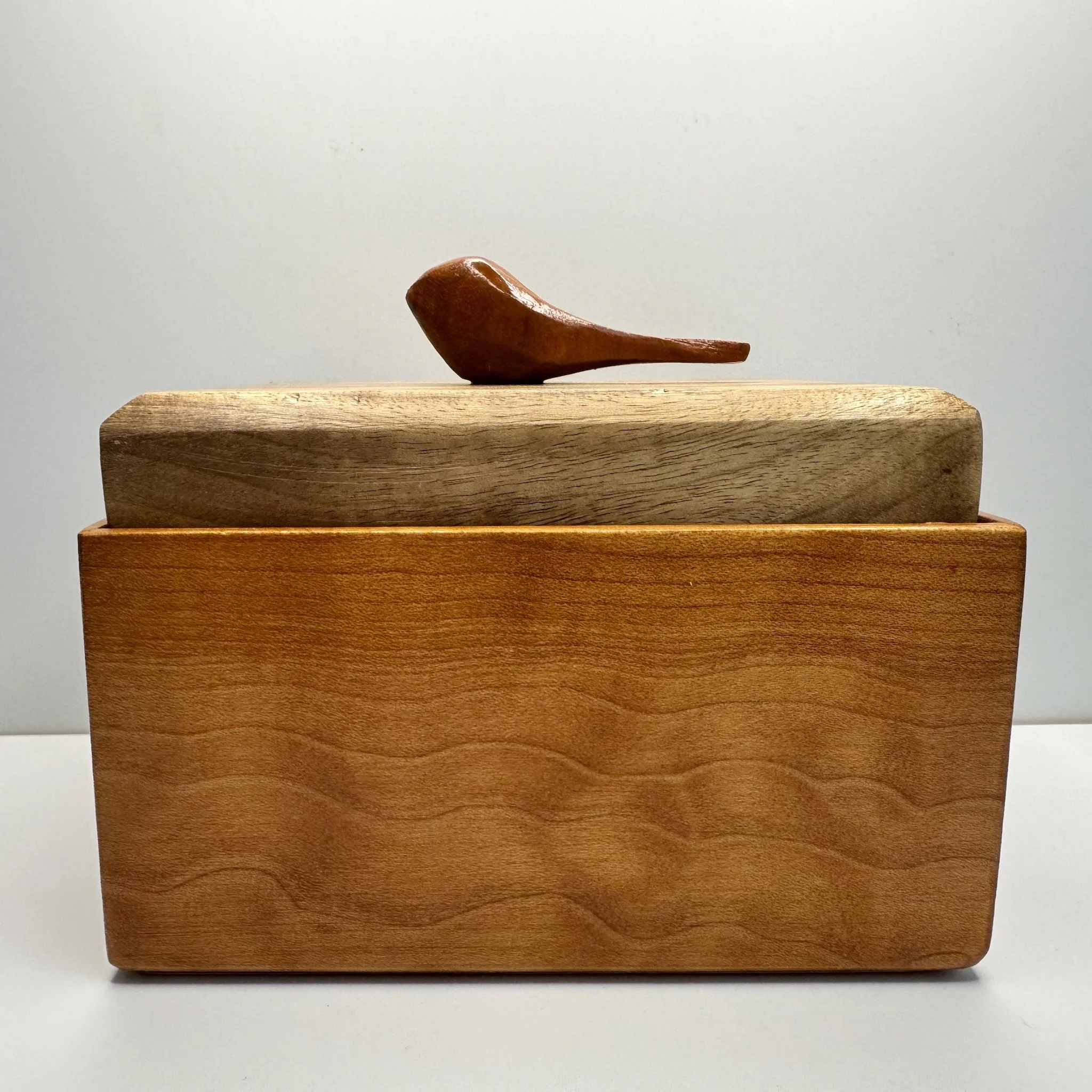 bird box 111625a.JPG