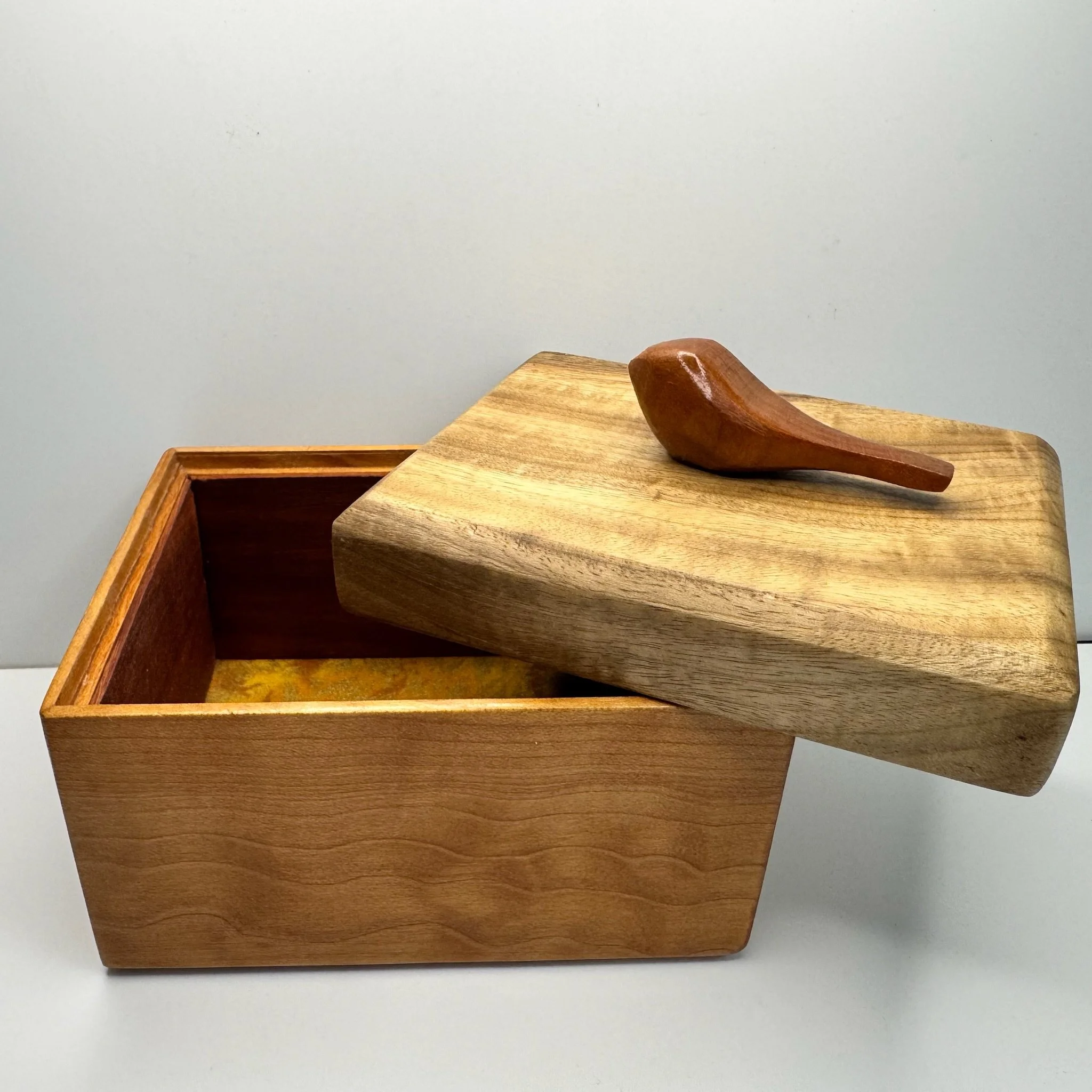 bird box 111625d.JPG