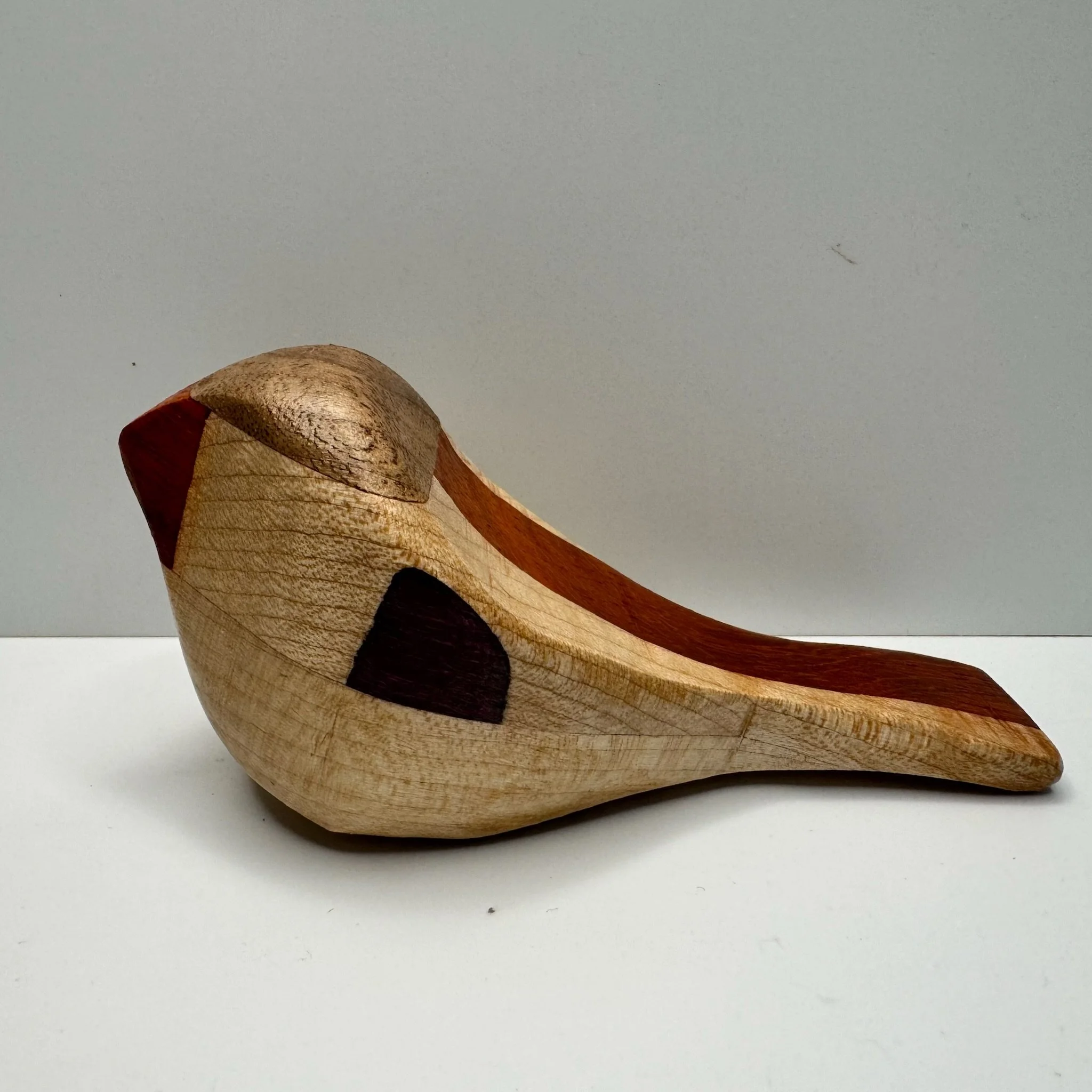 hall of fame bird 33a.JPG