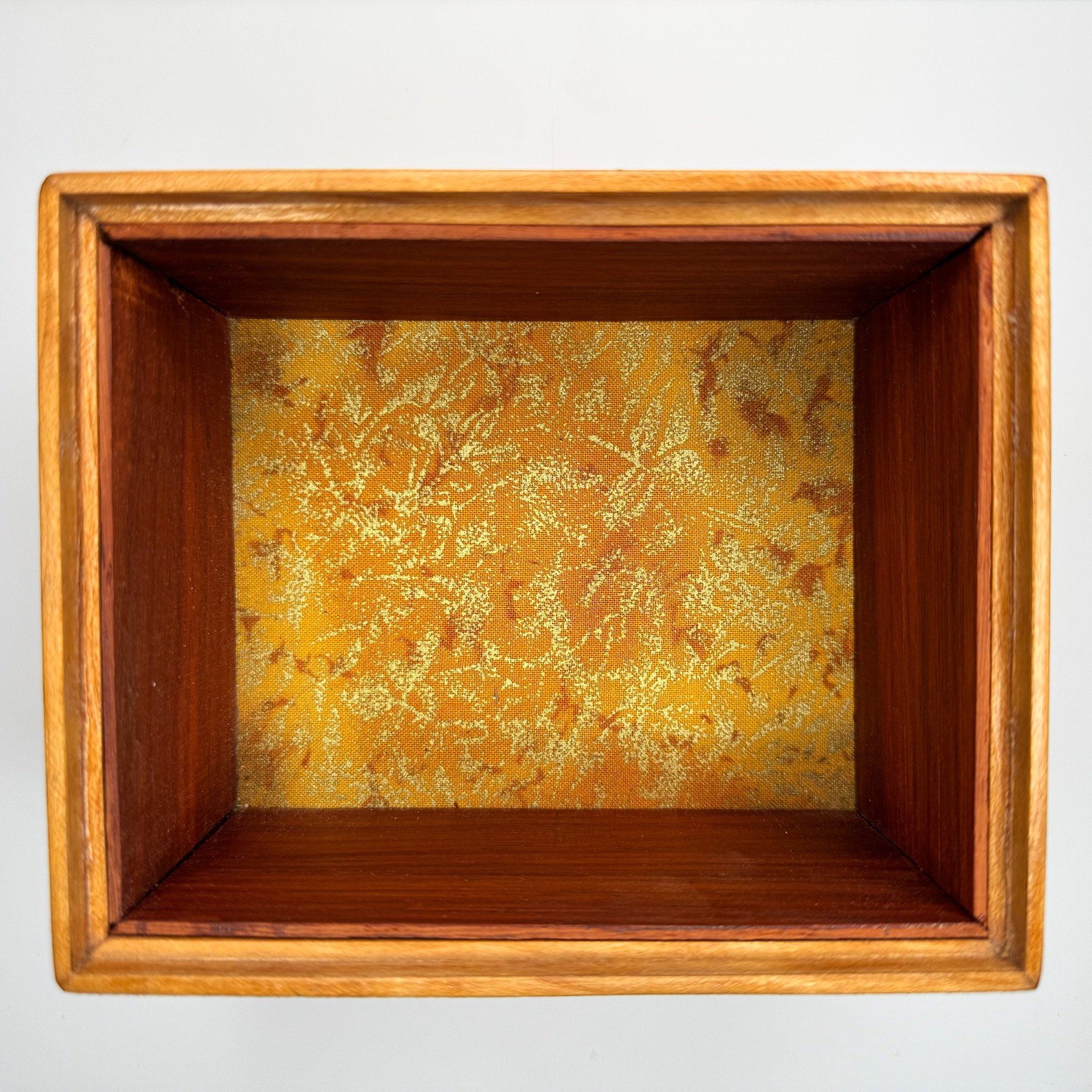 bird box 111625c.JPG