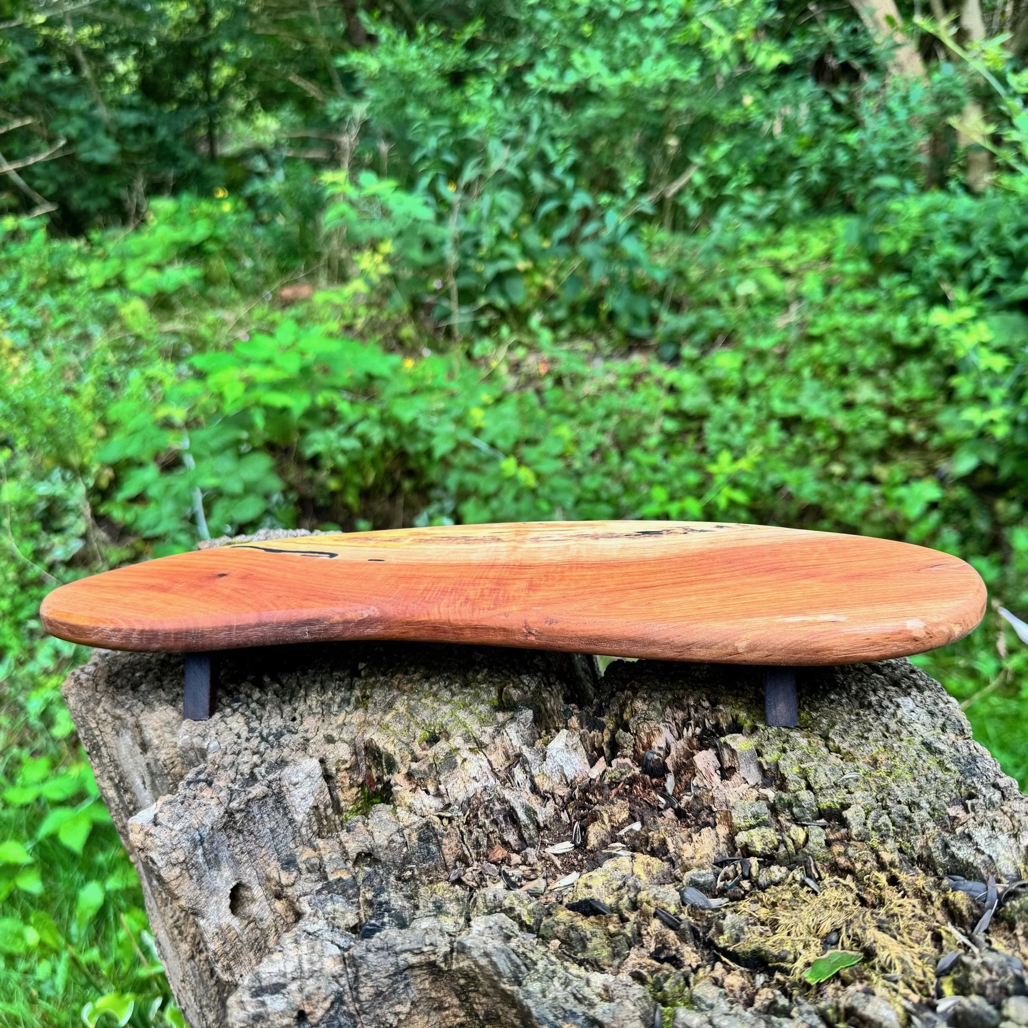 apple tray 5.JPG