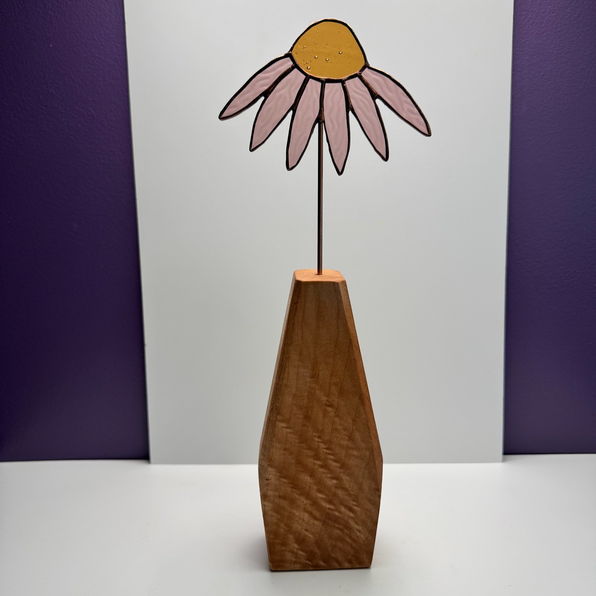 glass coneflower 3.JPG