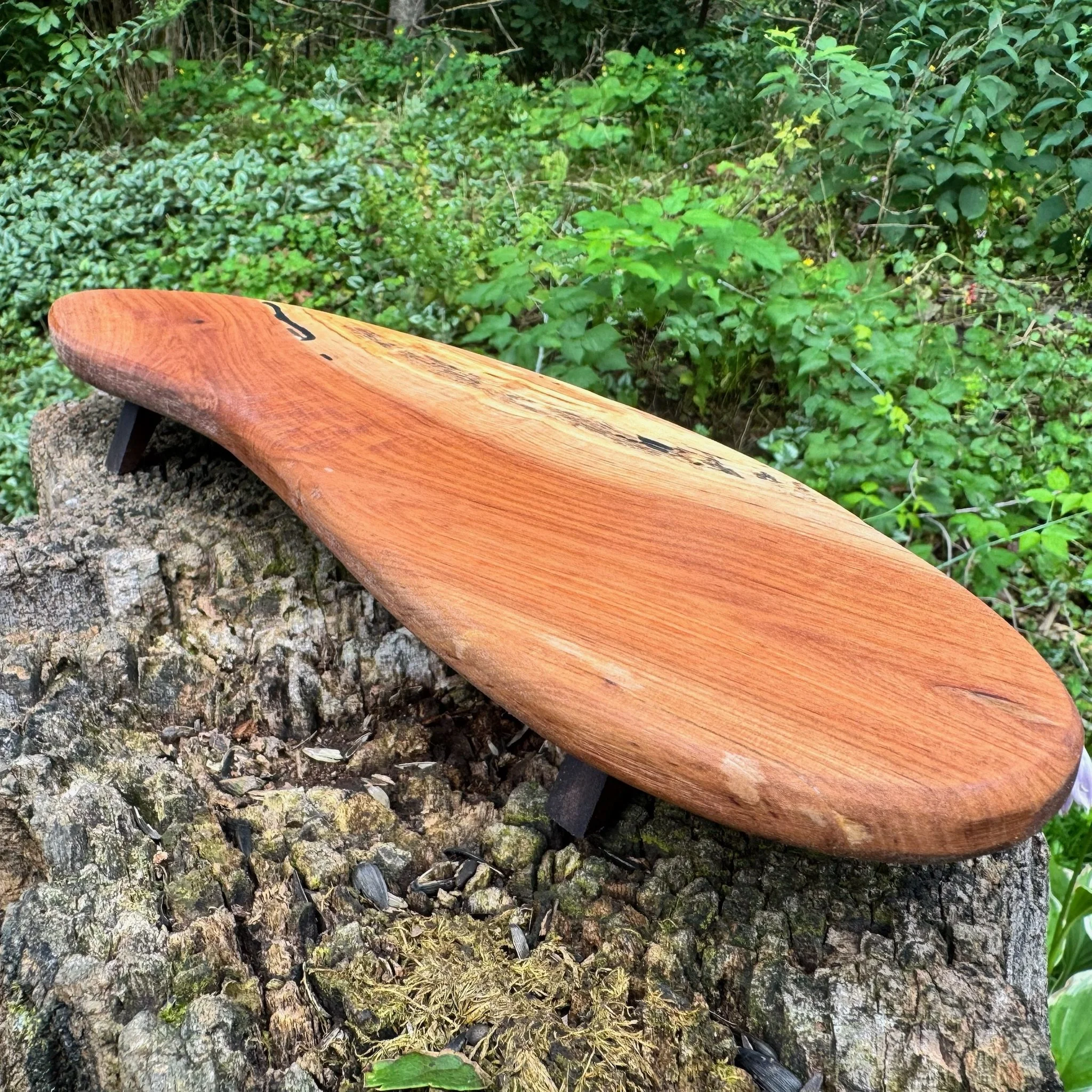 apple tray 5c.JPG
