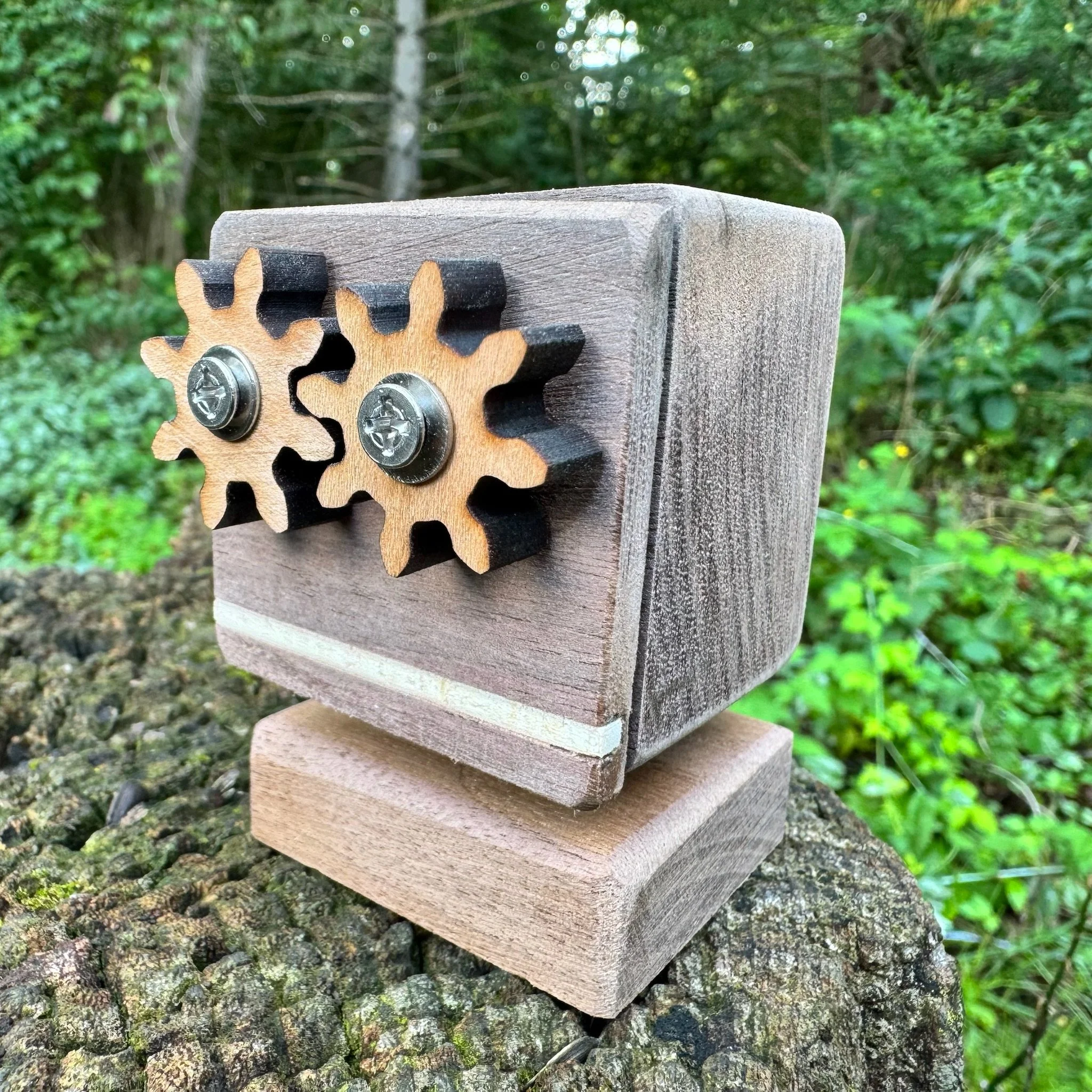 Scrappy Robot Box #081326