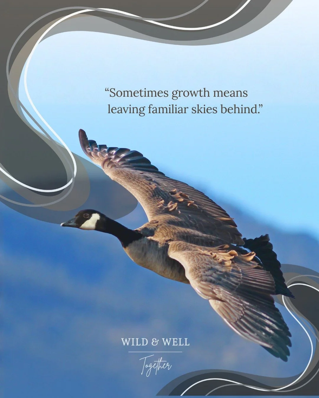 New seasons often ask us to step into unfamiliar skies. And while that can feel bittersweet, it's also a sign that life is still moving, still calling us forward.

Sometimes growth means trusting that what awaits you is worth the journey. 🪿🌿

#Wild