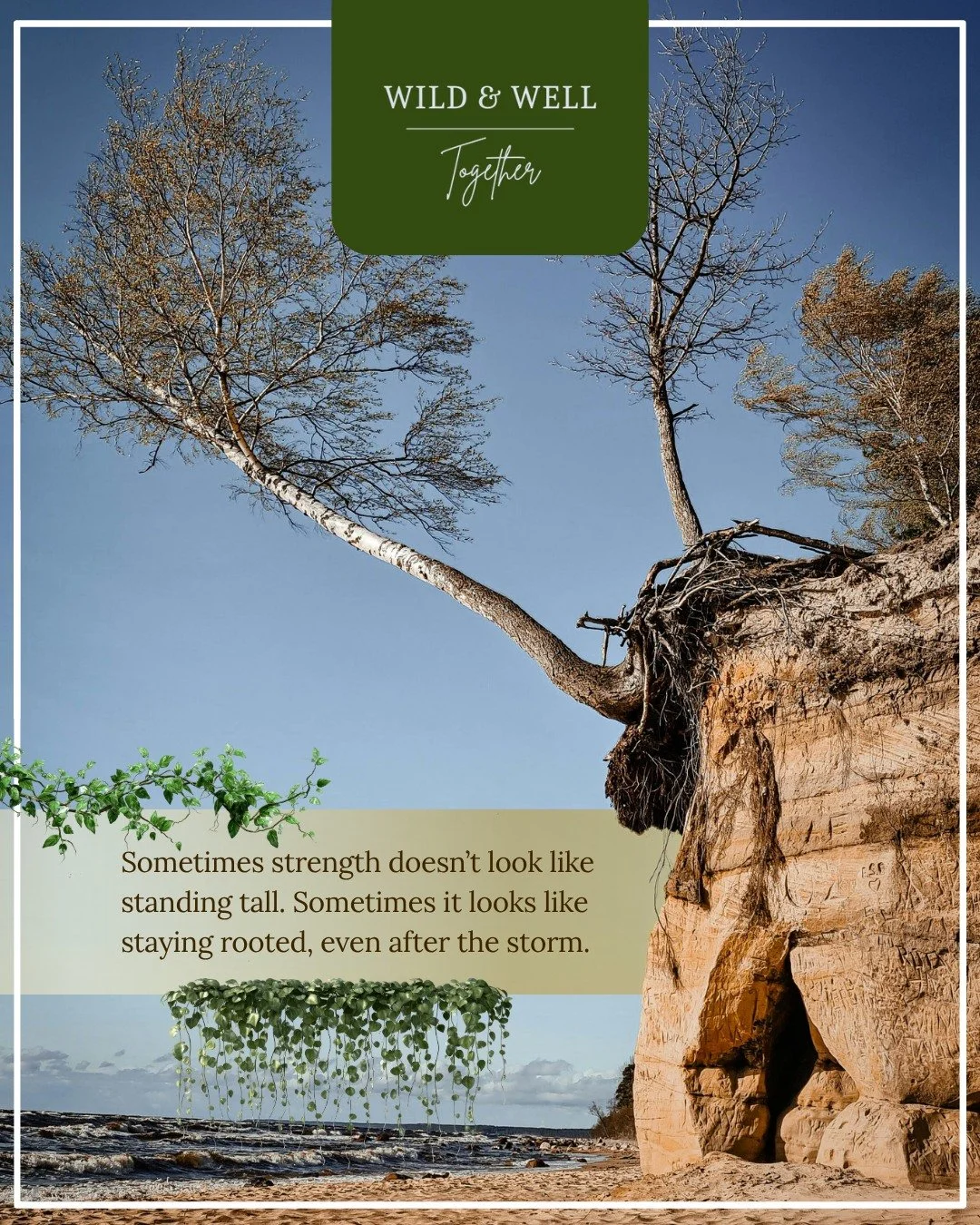 Sometimes, strength doesn&rsquo;t look like standing tall. Sometimes it looks like staying rooted, even after the storm. 💪
