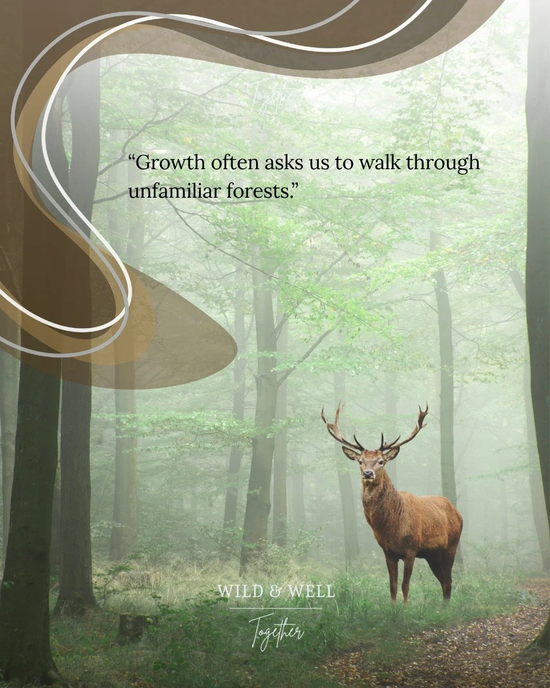 The path to growth is rarely familiar.

Sometimes the very thing that feels uncertain is the thing leading you home to yourself. 🦌🌿