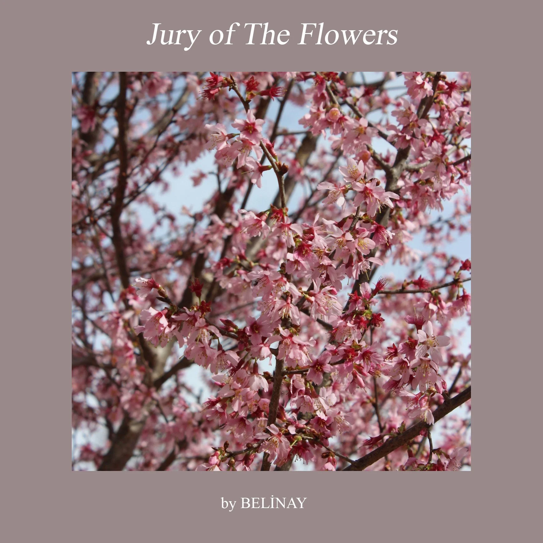 Jury of The Flowers