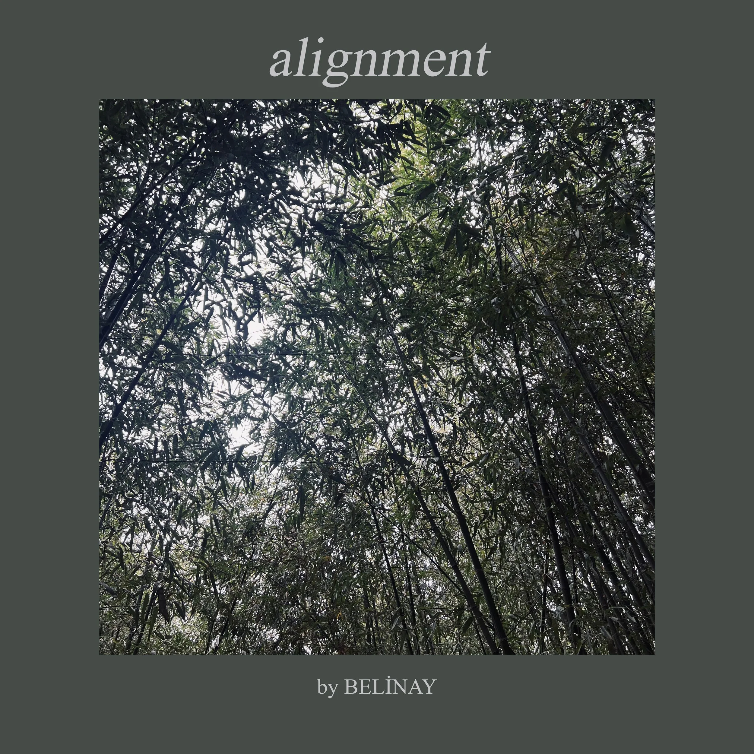 alignment