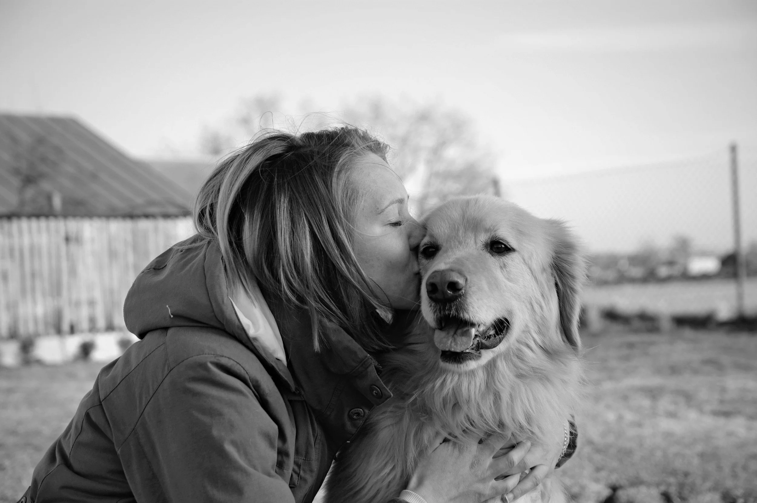 A woman is kissing a golden retriever dog outdoors in a fenced area.
