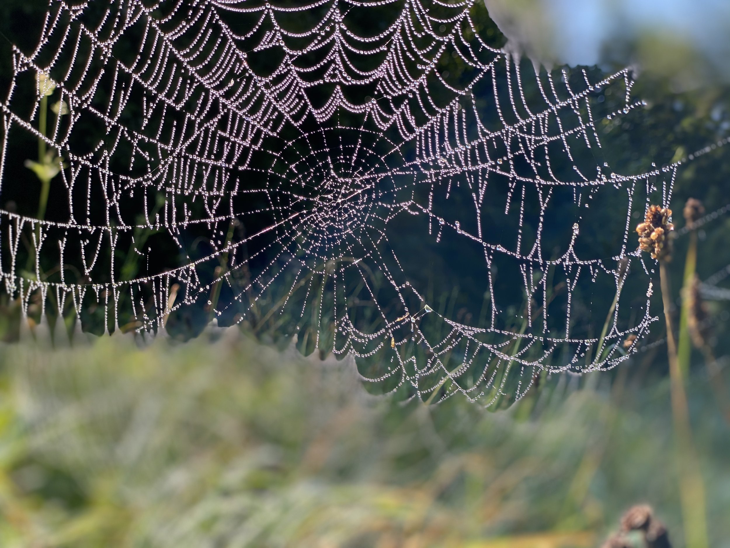 Traumfänger Workshop 