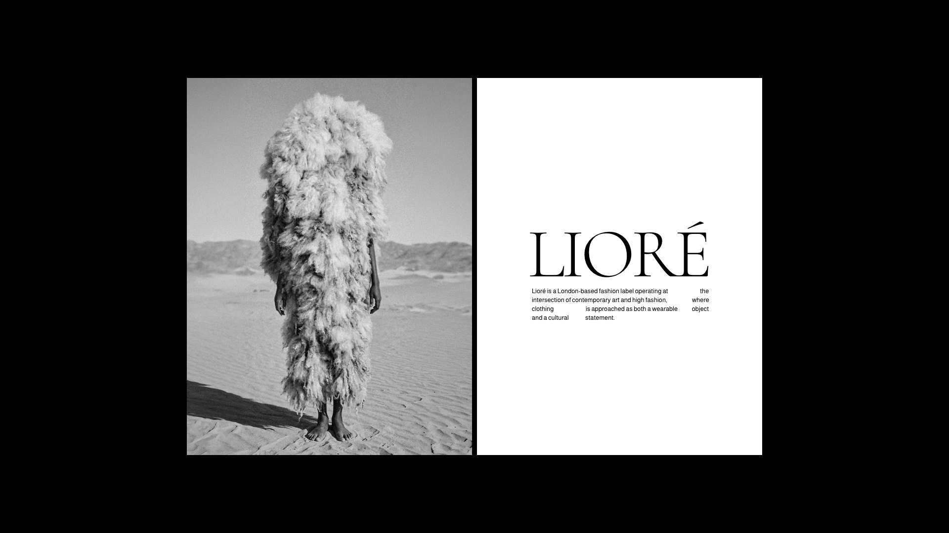 Louys_Portfolio – 105.png