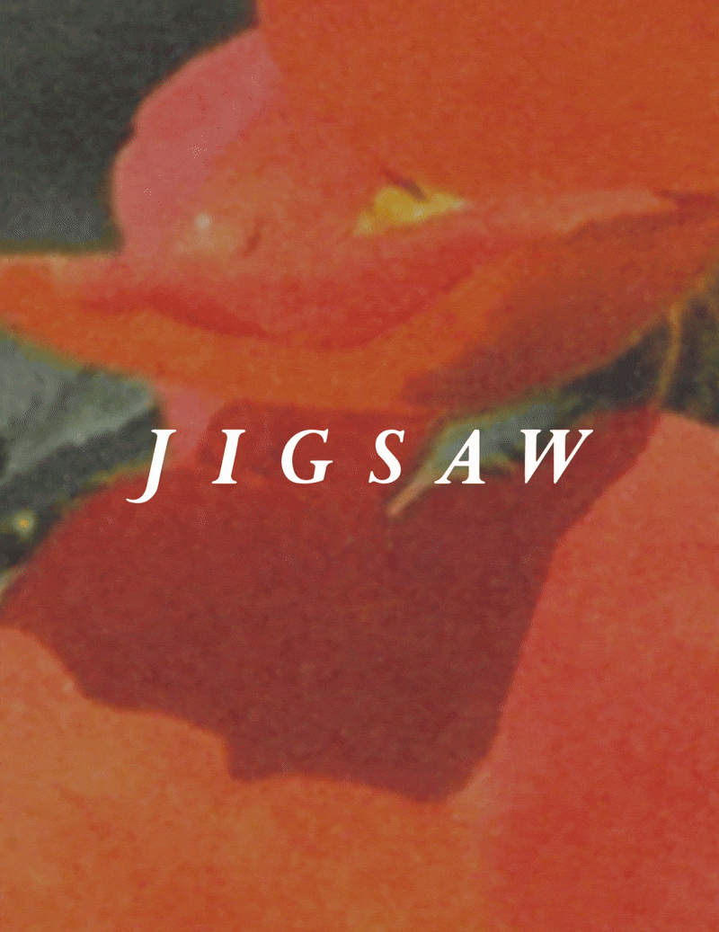 Jigsaw_Email Header.gif