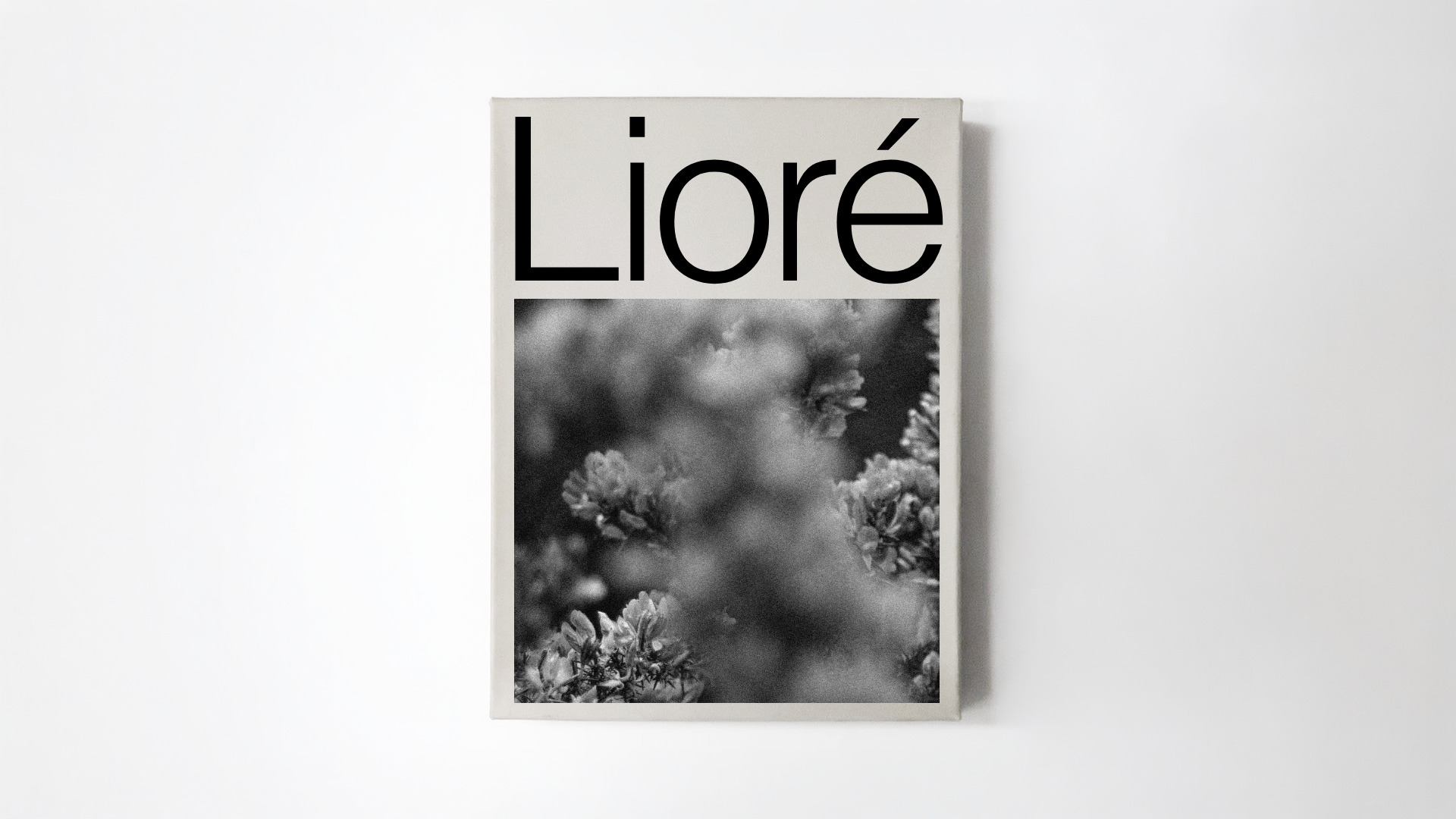 Louys_Portfolio – 27.png