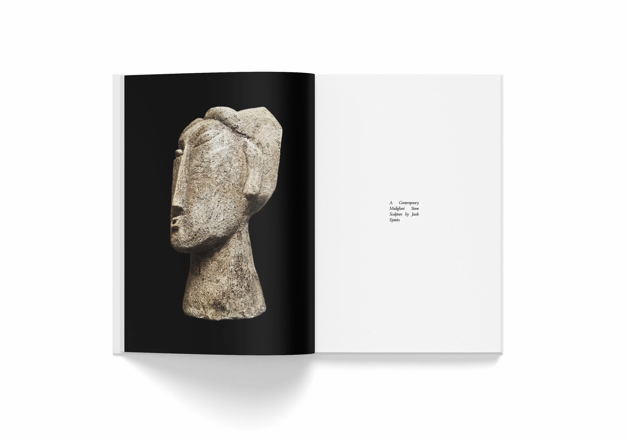 AMB_Book Mockup_000 001.jpg