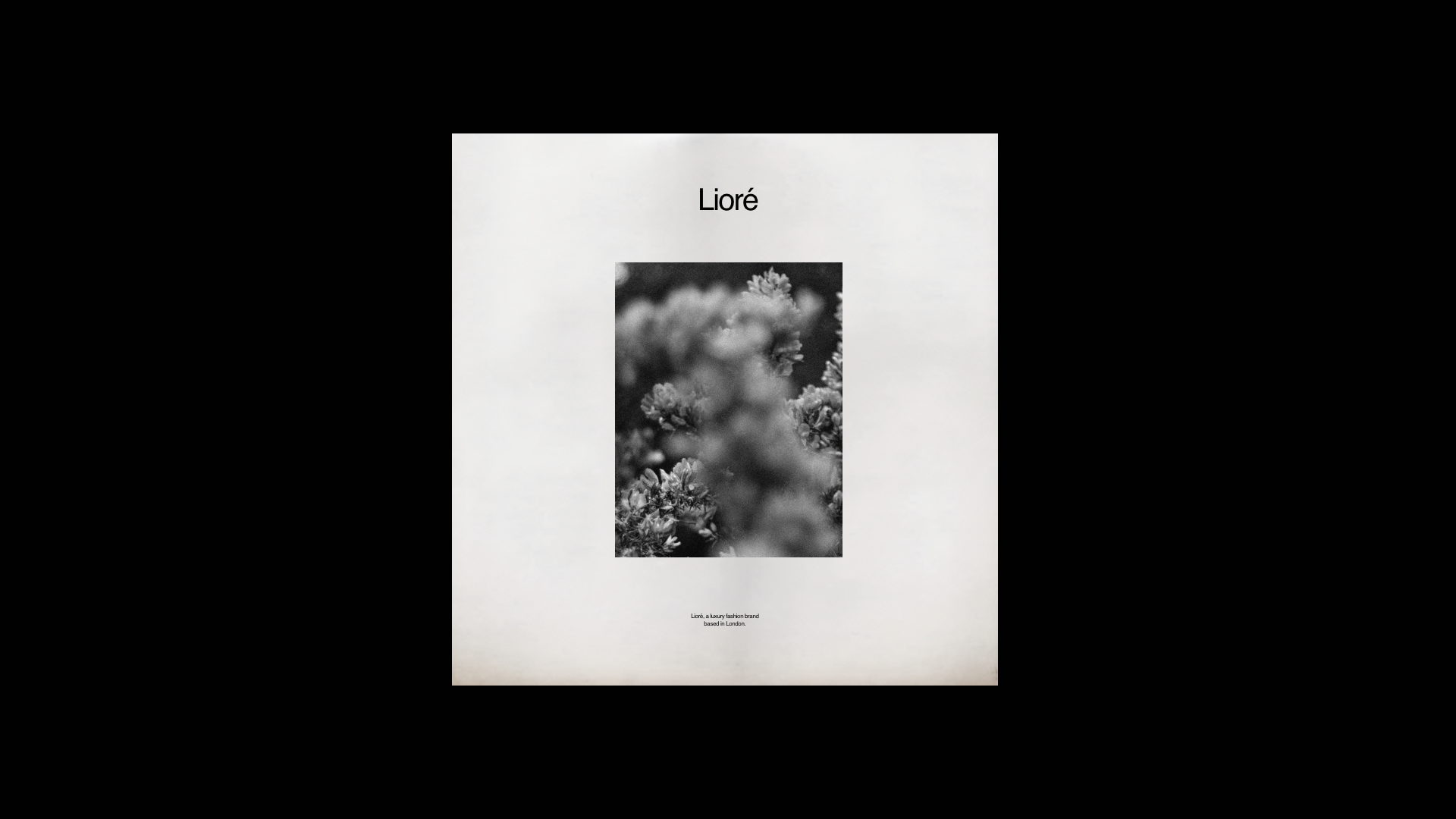 Louys_Portfolio – 28.png