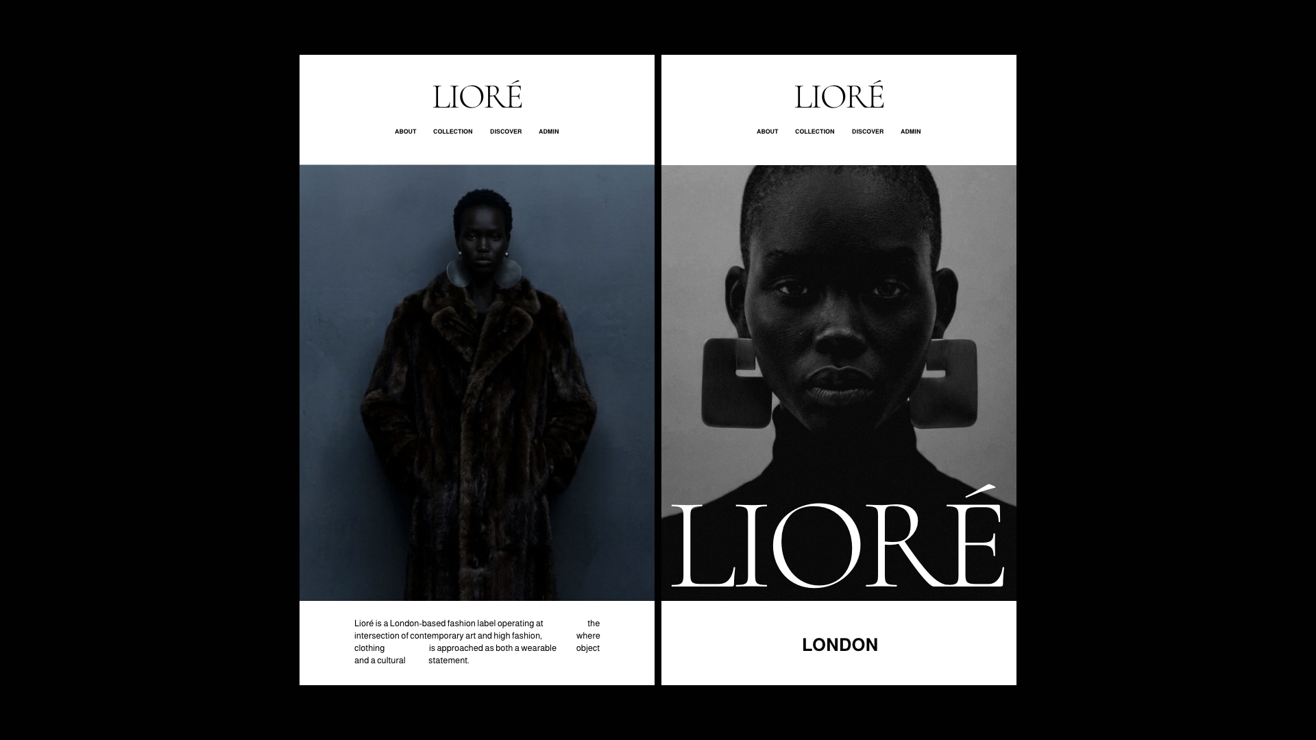 Louys_Portfolio – 106.png