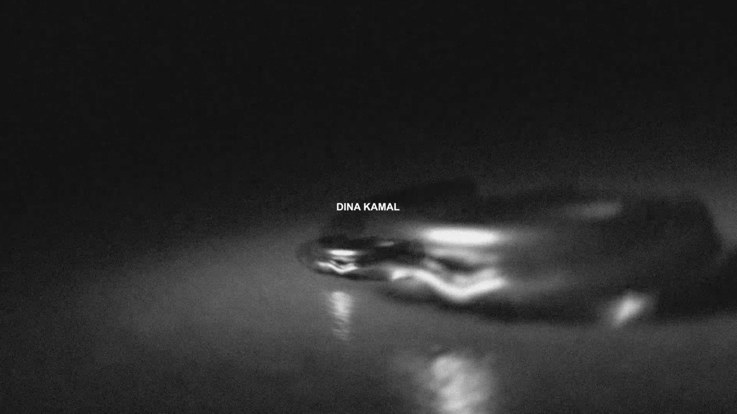 Dina Kamal-001.png