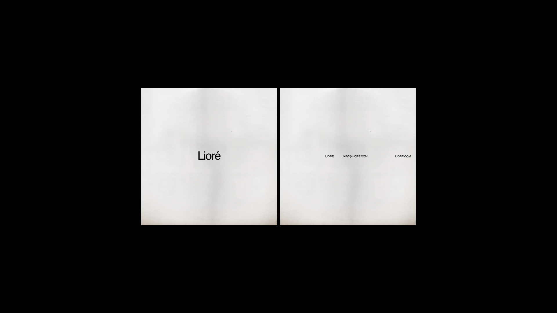 Louys_Portfolio – 77.png