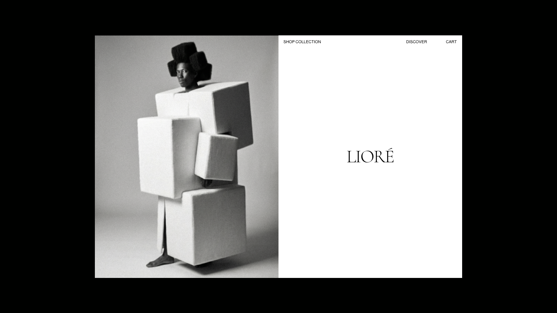 Louys_Portfolio – 102.png