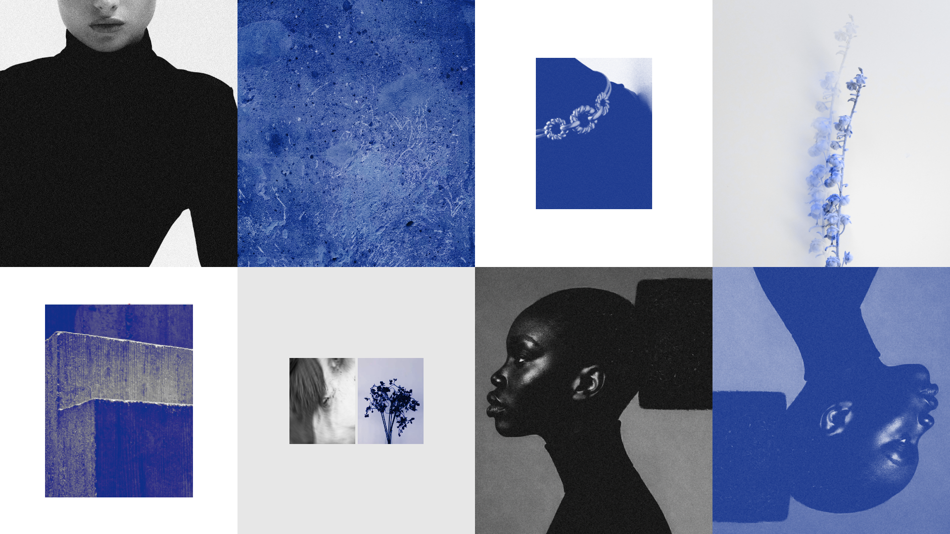Louys_Portfolio – 14.png