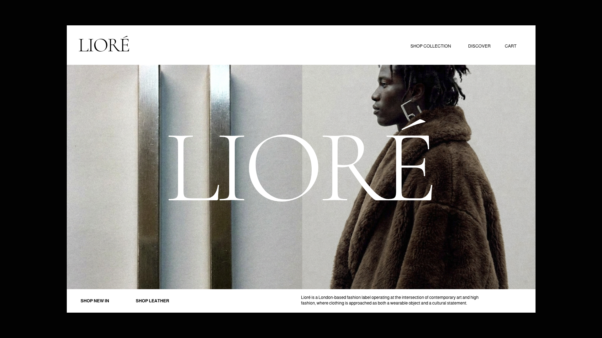 Louys_Portfolio – 84.png