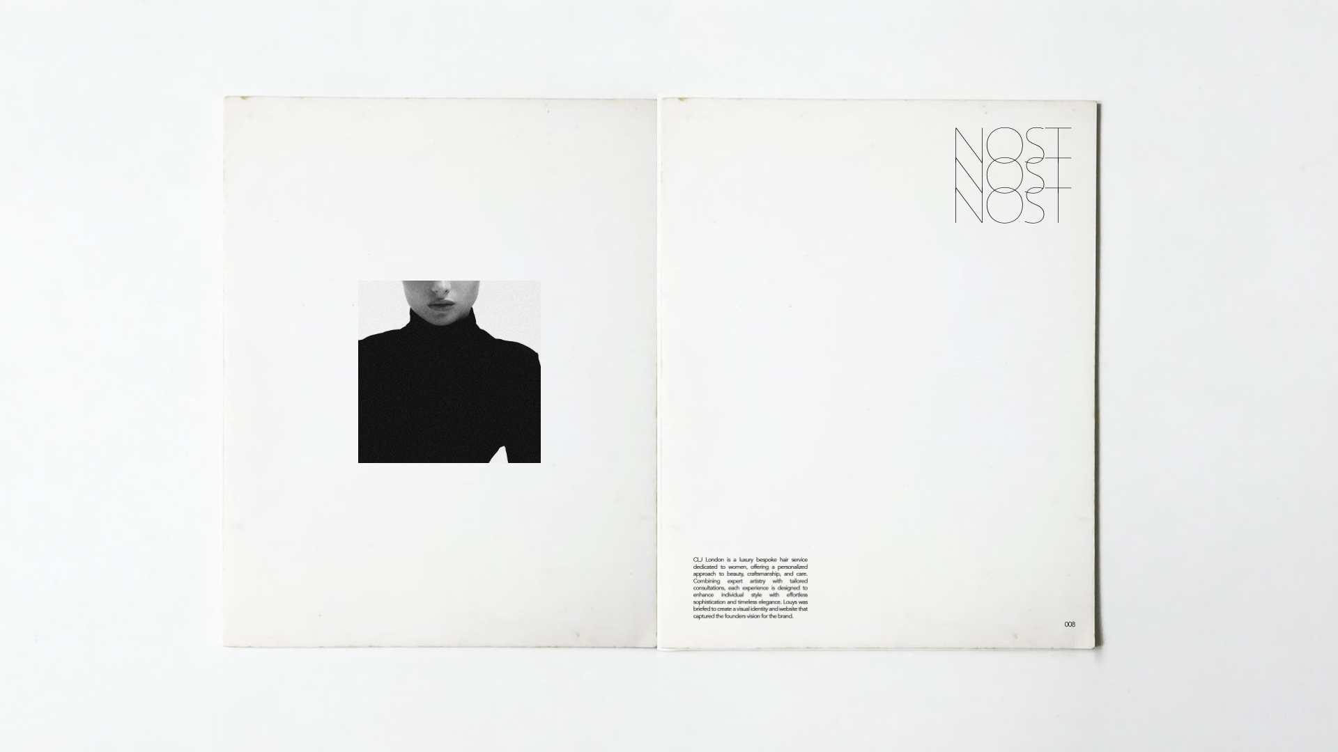 Louys_Portfolio – 12.png