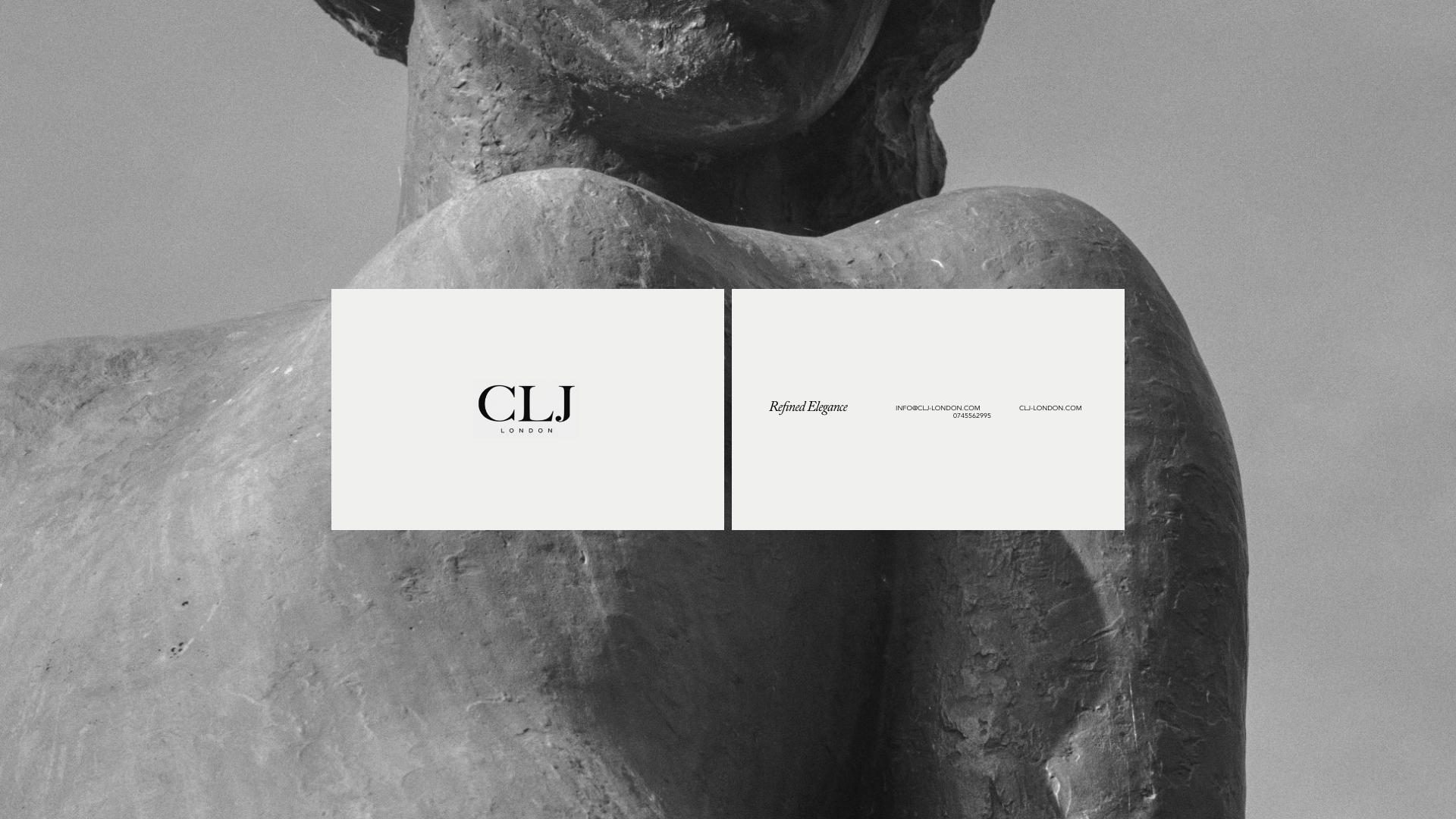 Louys_Portfolio – 69.png