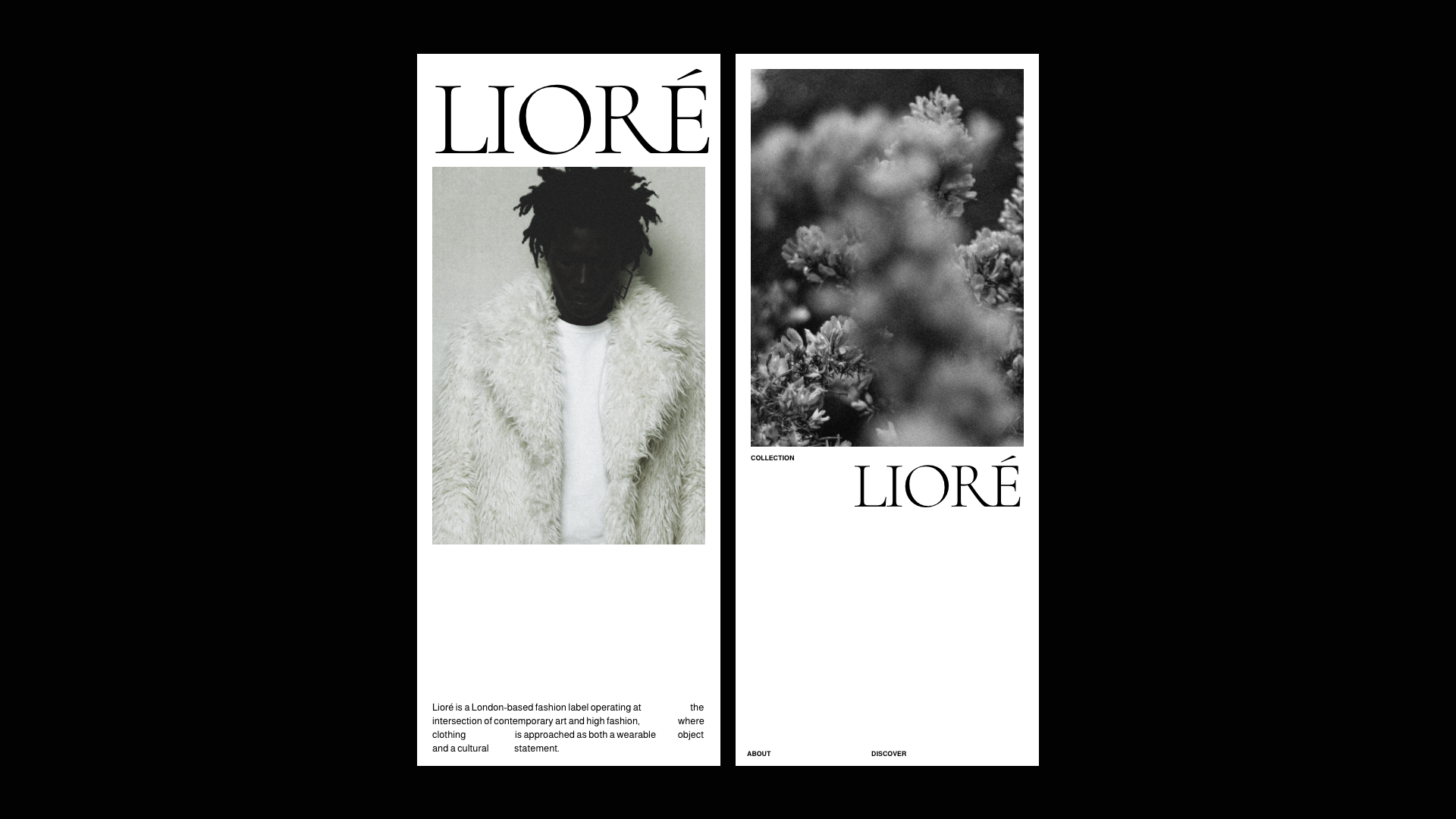Louys_Portfolio – 85.png