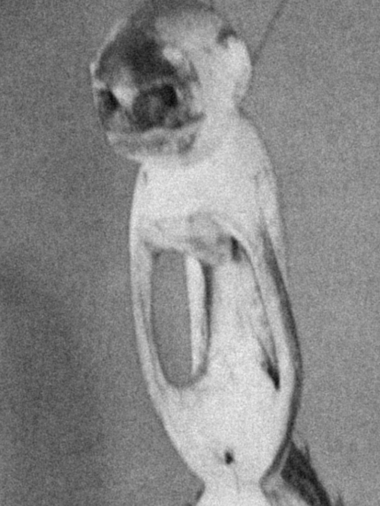 Aime-Moi Bleu_Short Film_Header.png