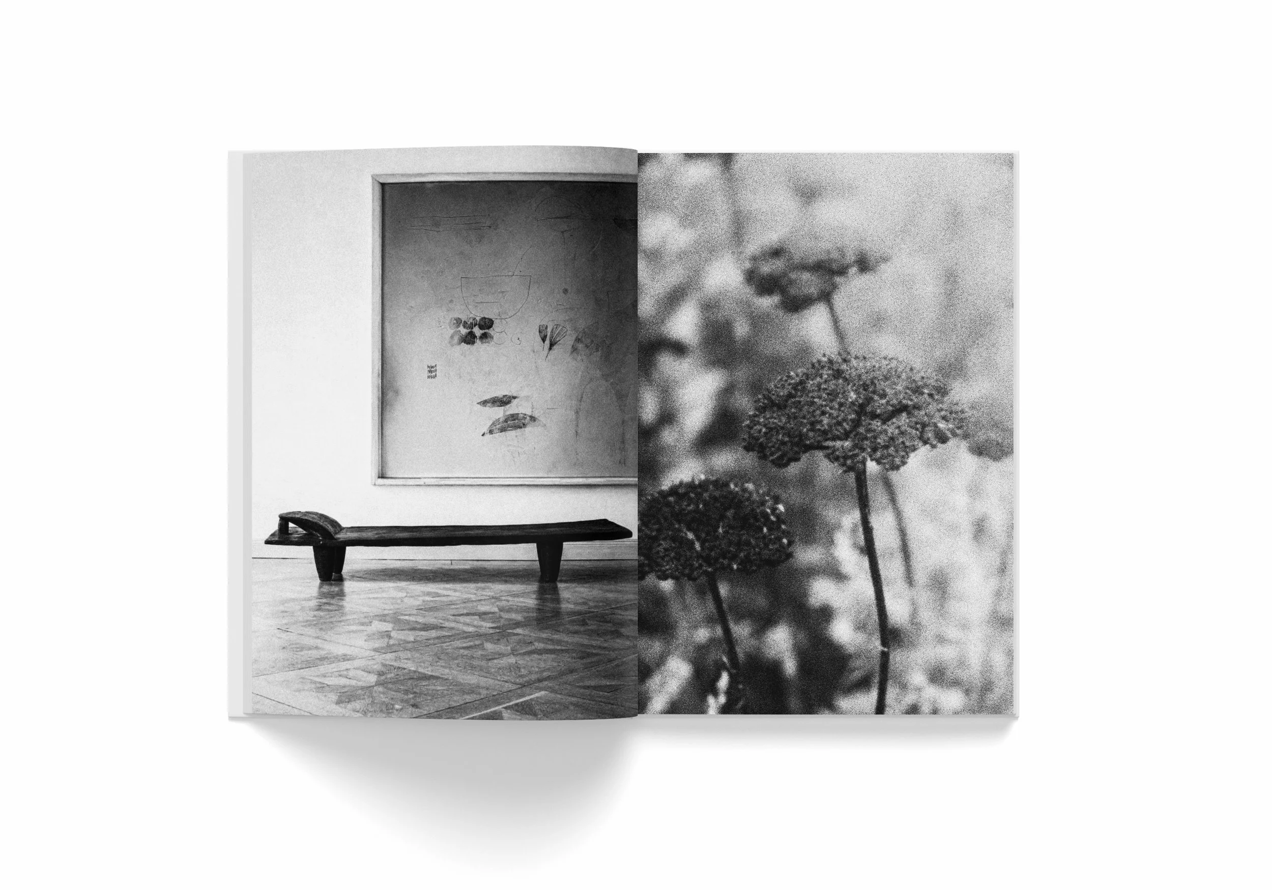 AMB_Book Mockup_000 003.jpg