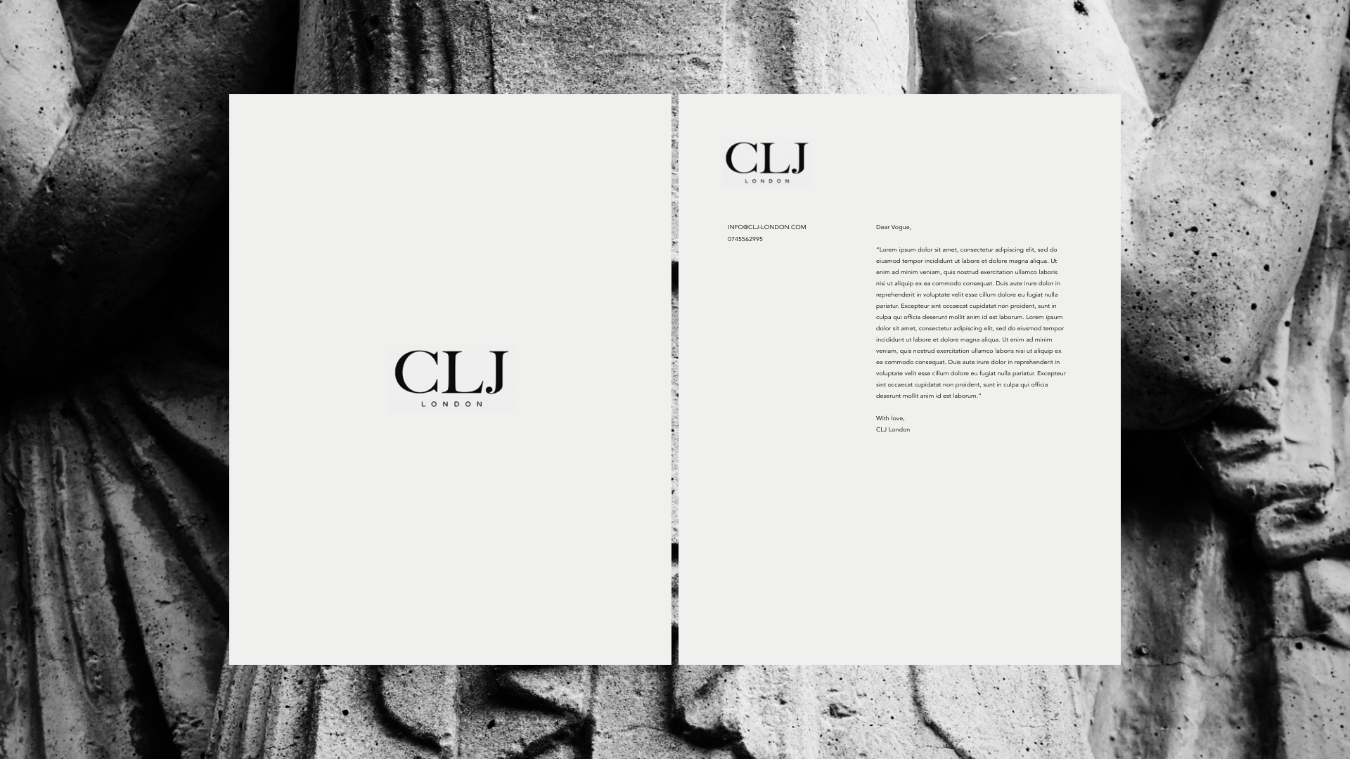 Louys_Portfolio – 70.png