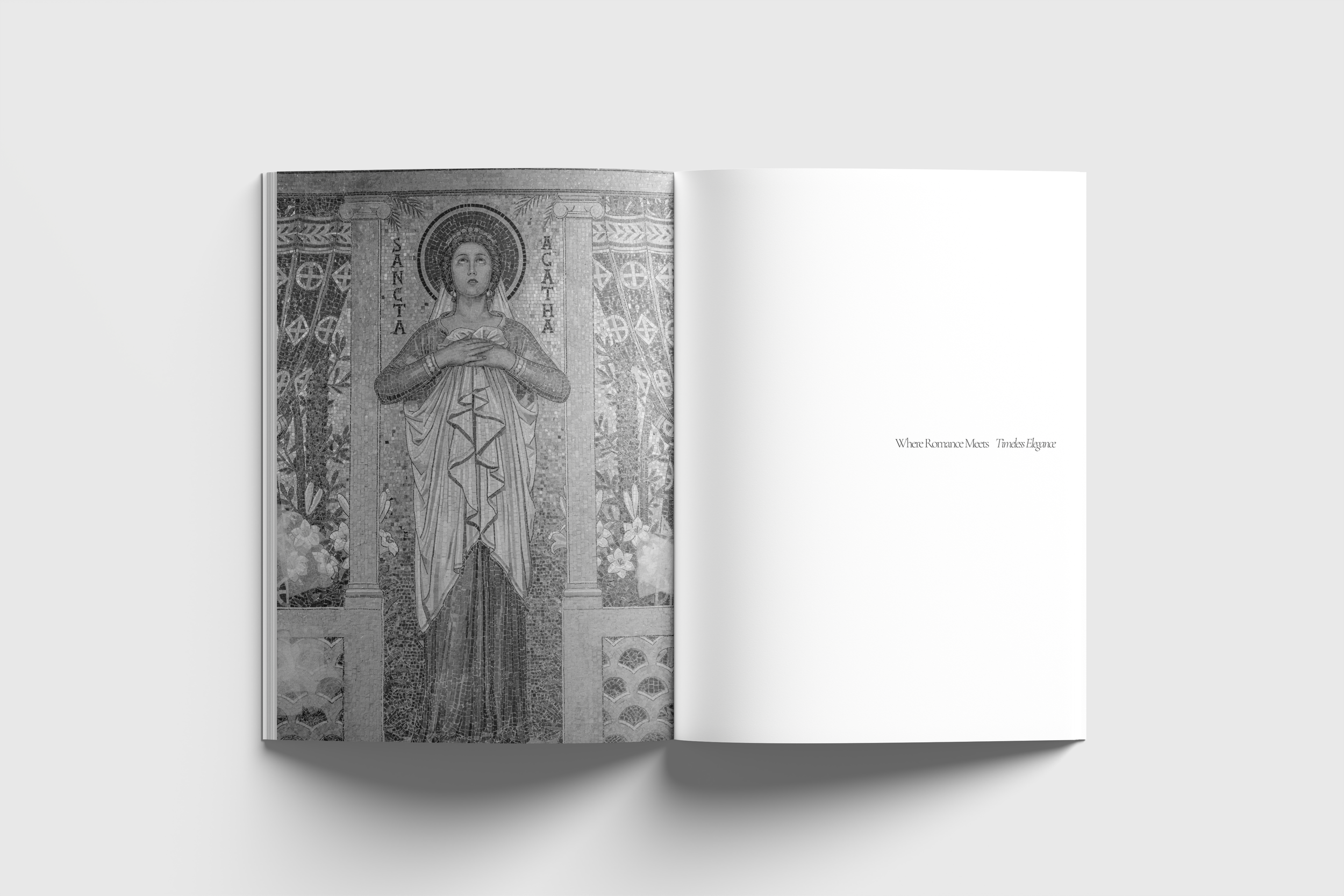 DWHA_Spread 003.png