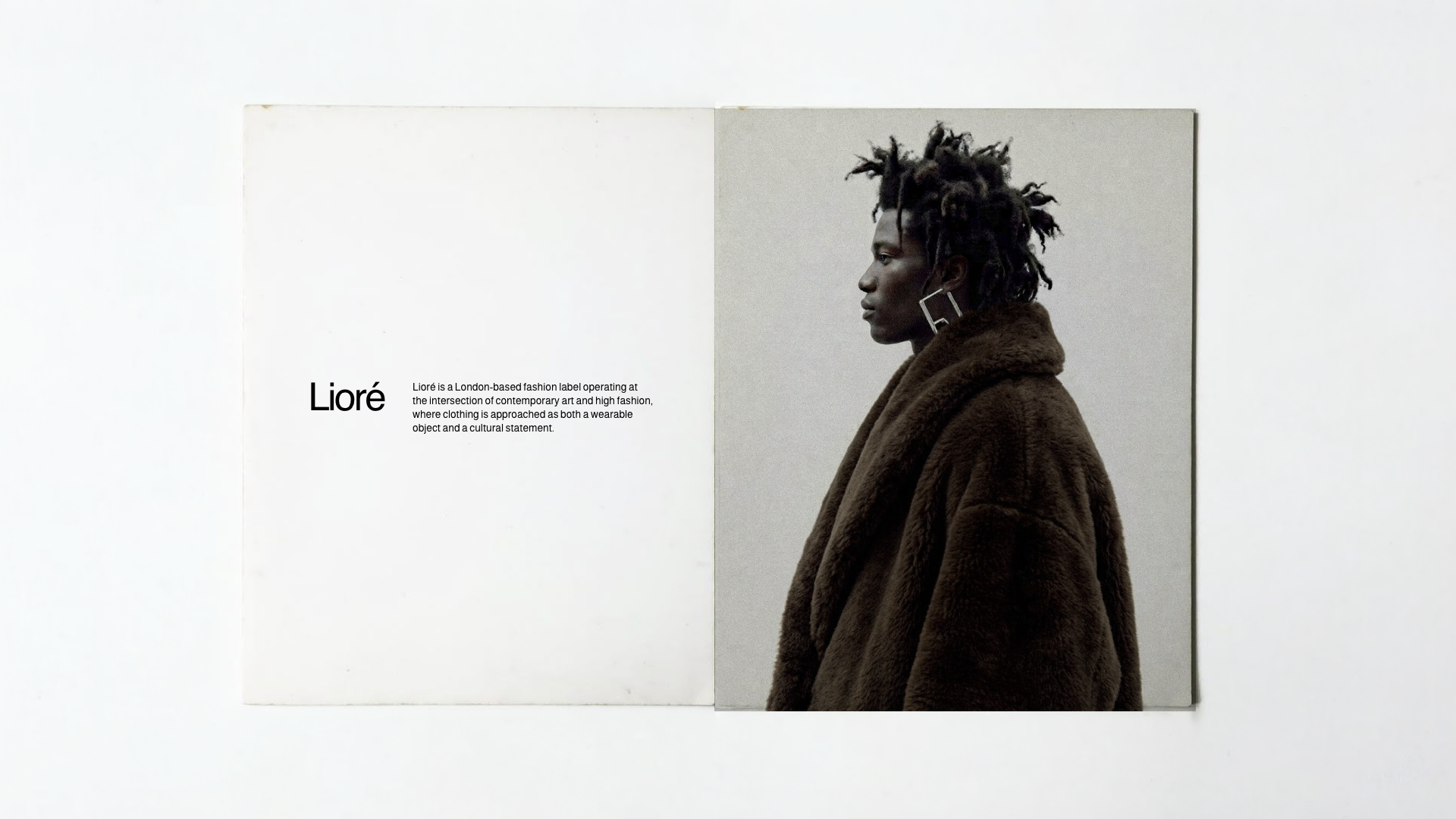 Louys_Portfolio – 73.png