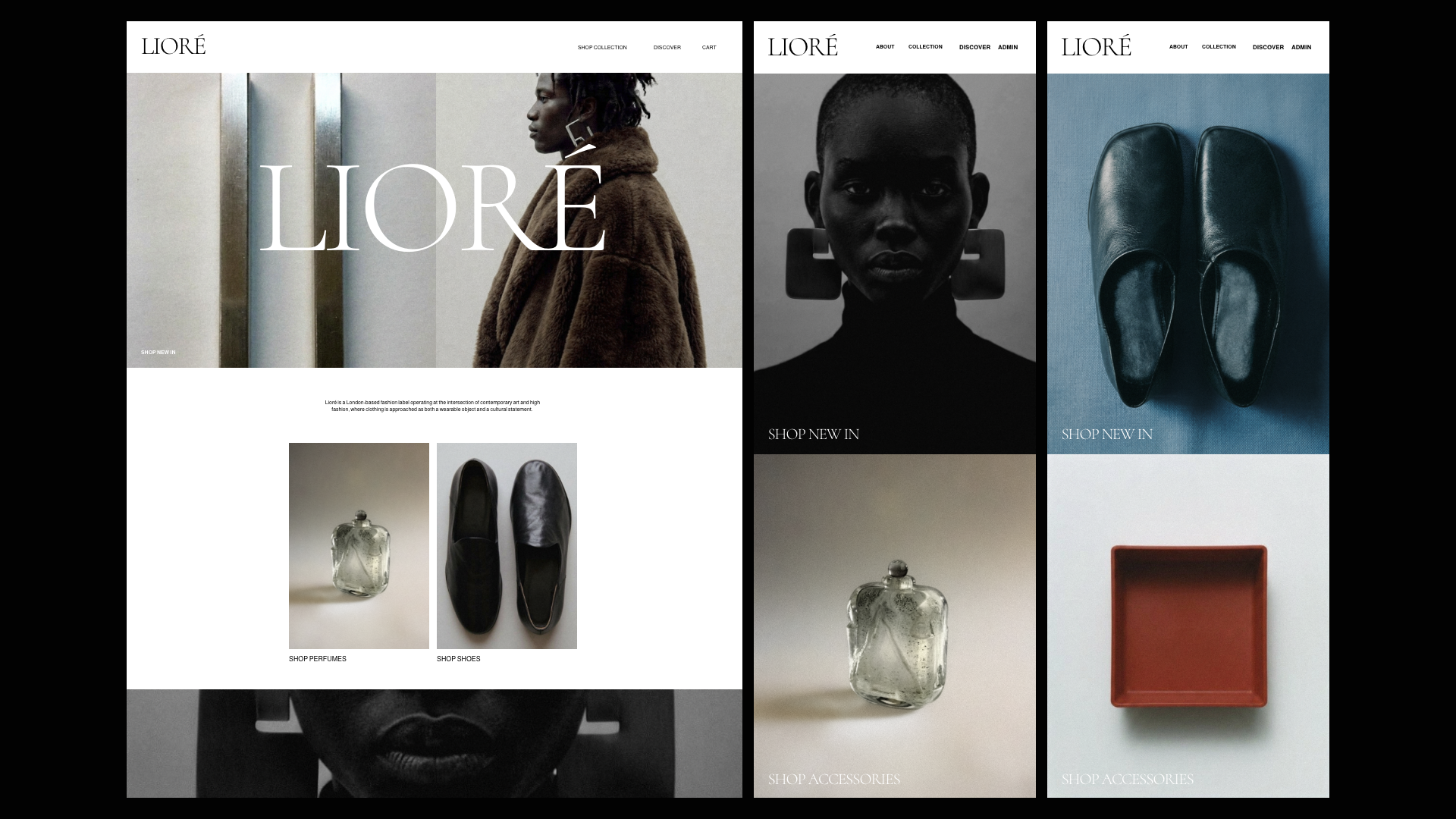 Louys_Portfolio – 148.png