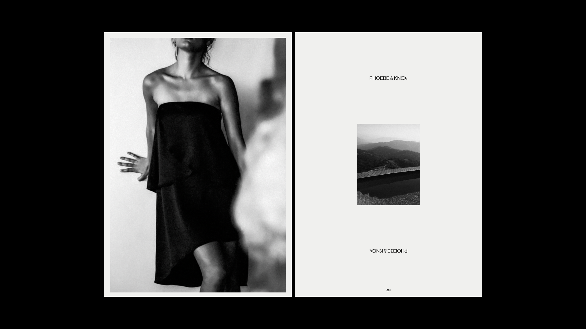 Louys_Portfolio – 88.png