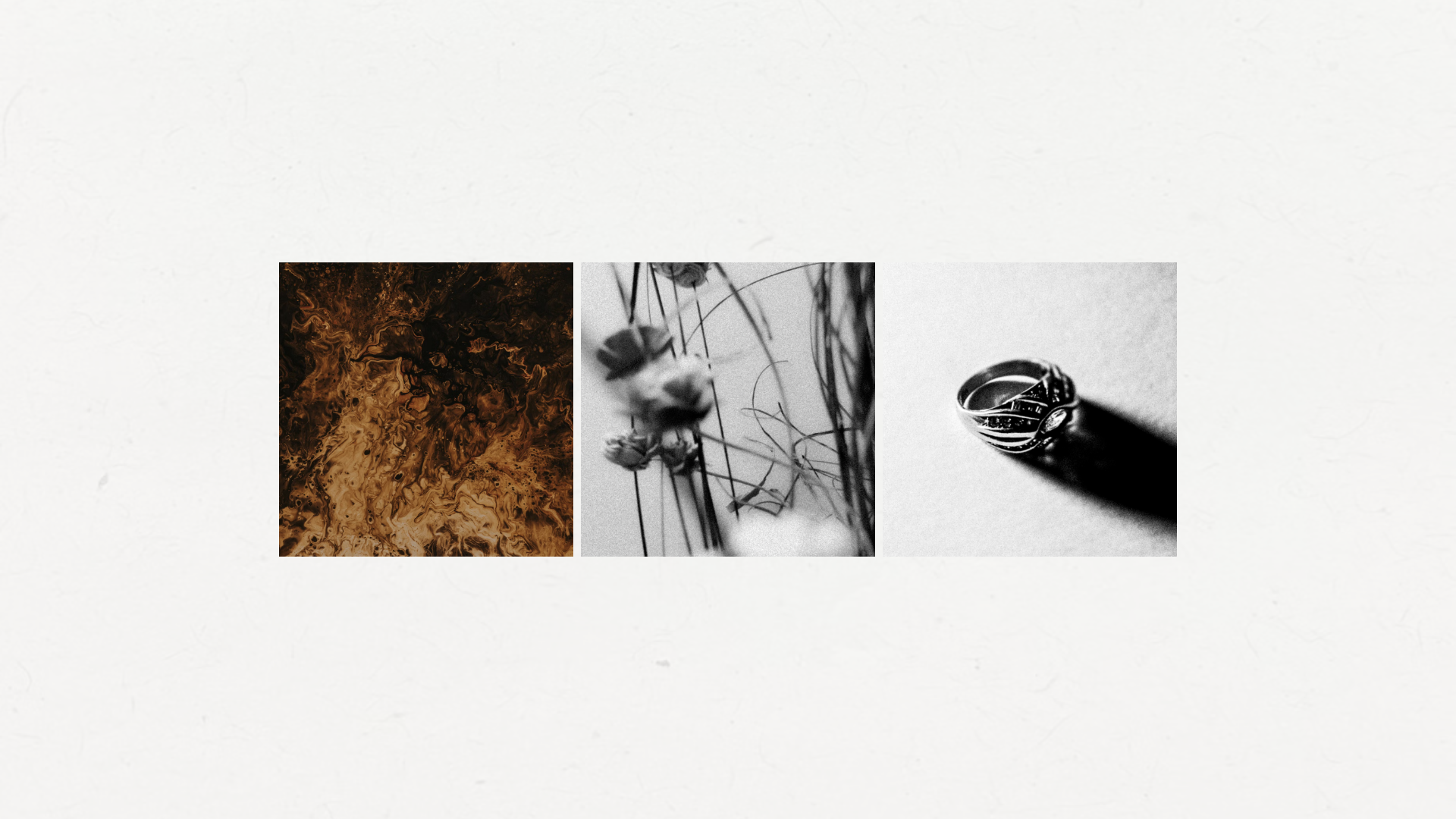 Louys_Portfolio – 49.png