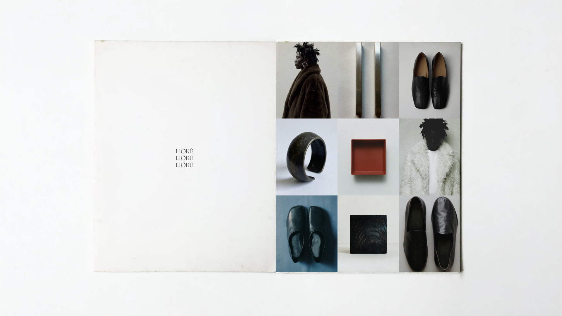 Louys_Portfolio – 75.png