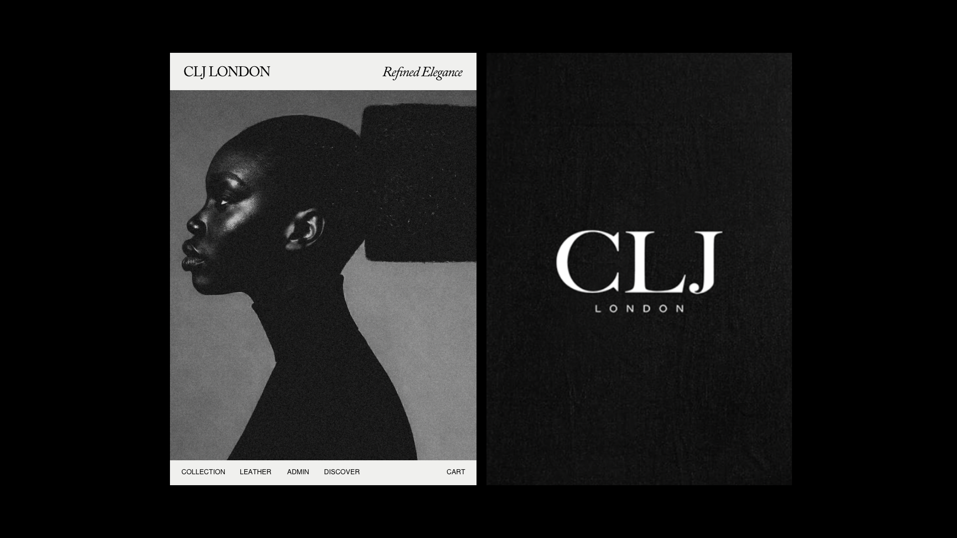 Louys_Portfolio – 91.png