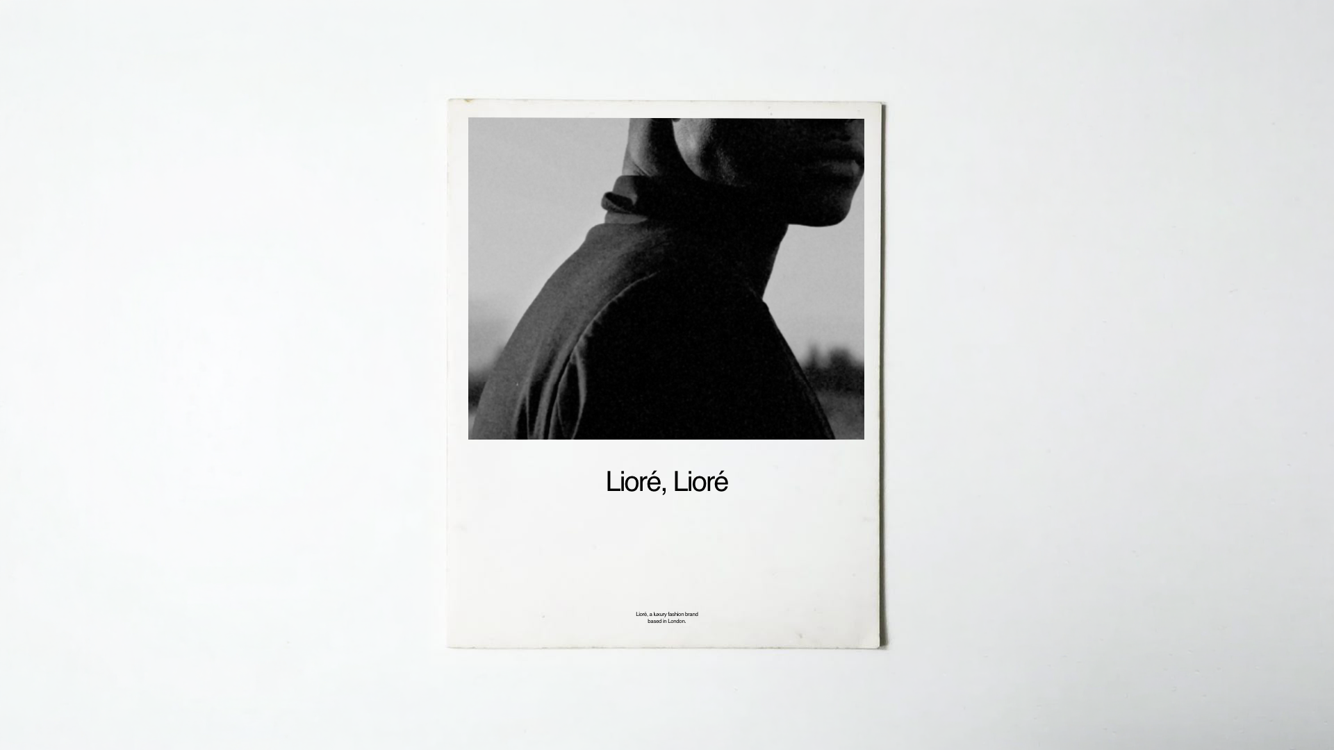 Louys_Portfolio – 23.png
