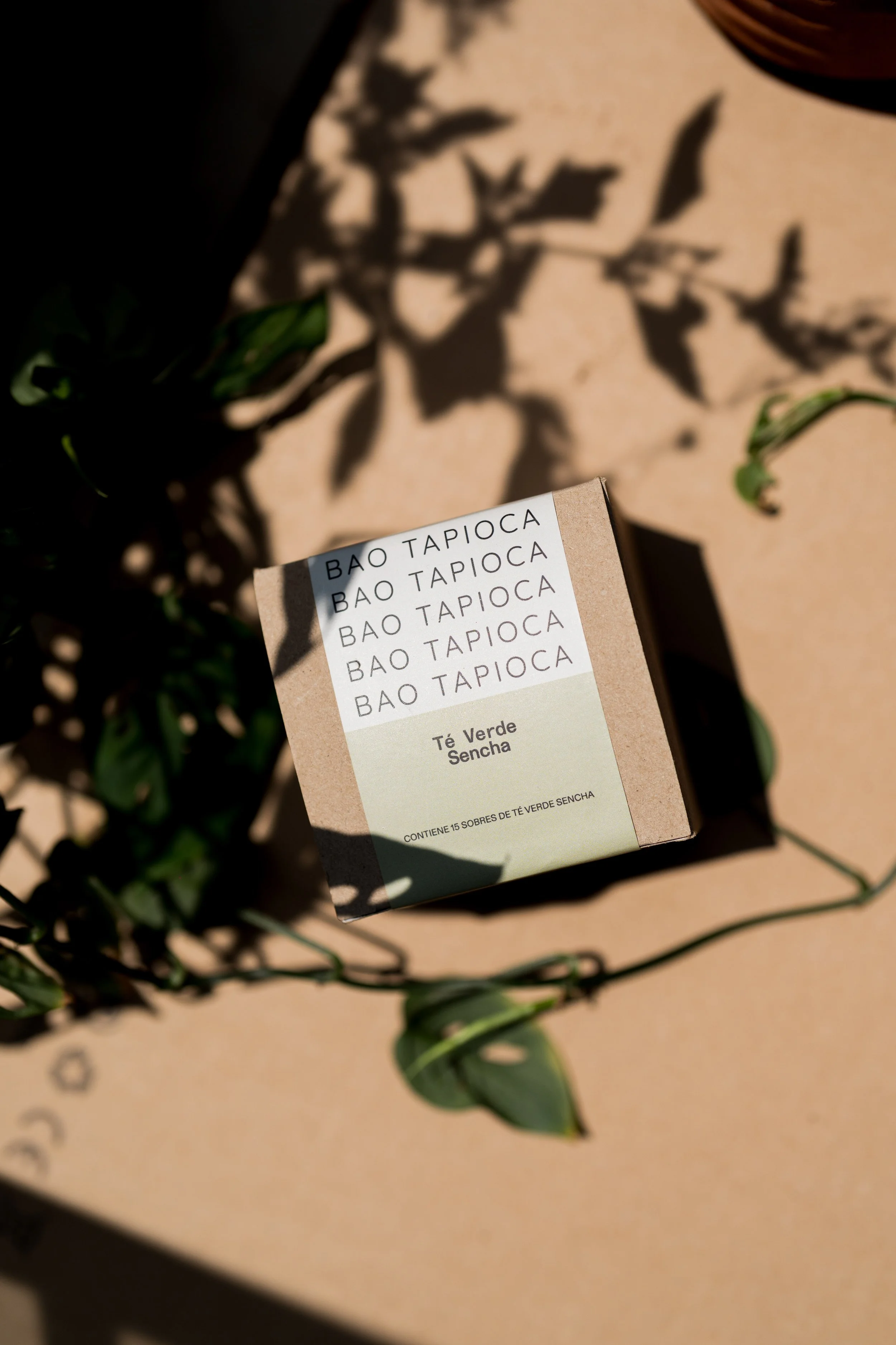 TÉS BAO AGO25-12.jpg