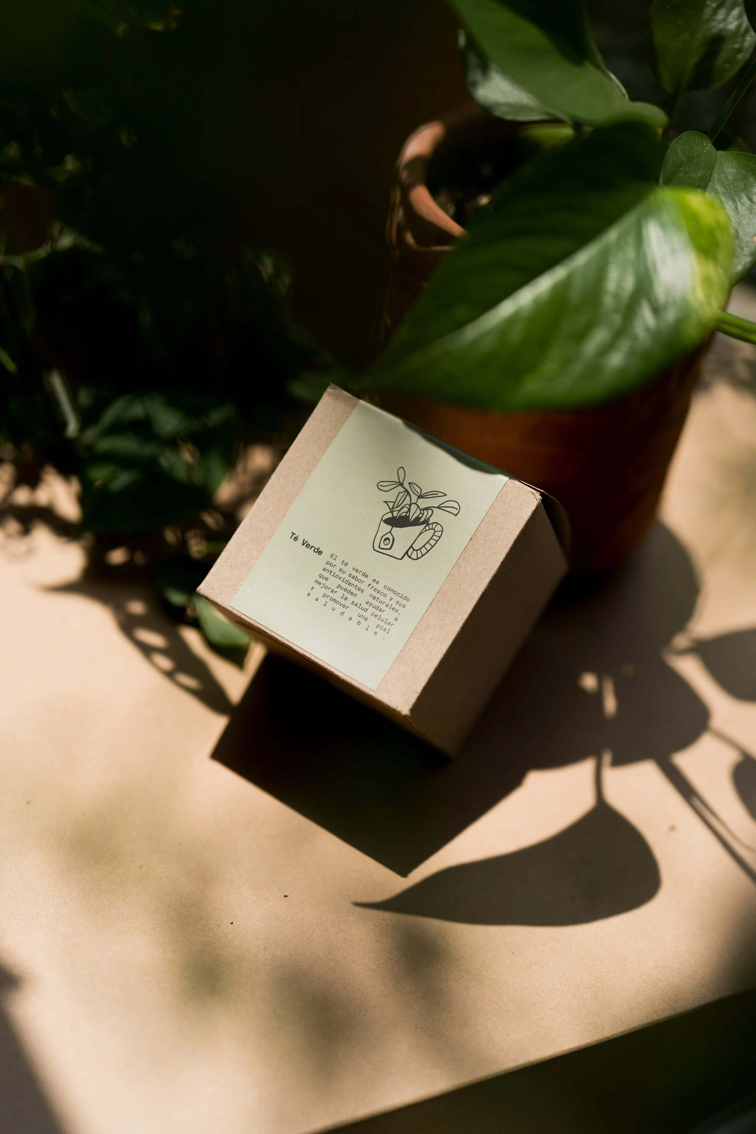 TÉS BAO AGO25-11.jpg