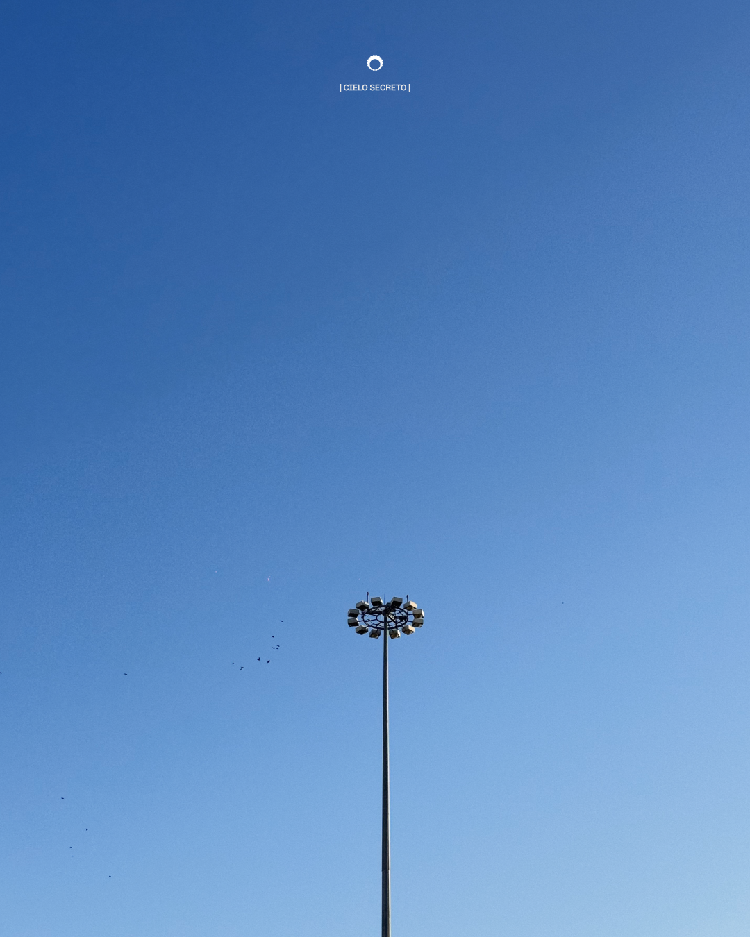 A tall street light against a clear blue sky with a small flock of birds flying nearby.