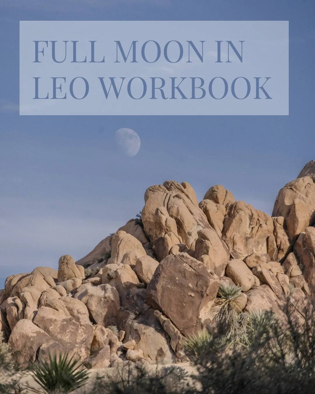 Over the past year, I&rsquo;ve been tuning into how each moon moves through me, noticing the subtle shifts in energy, the quiet whispers of intuition, and the way it stirs my heart and imagination. Like the ocean pulled by the moon, our inner tides r