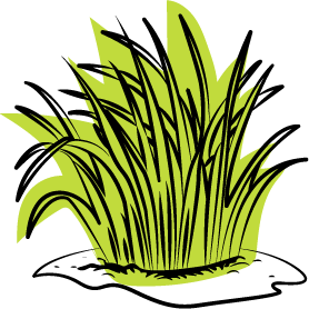 A bunch of green grass or plants on a small patch of ground.