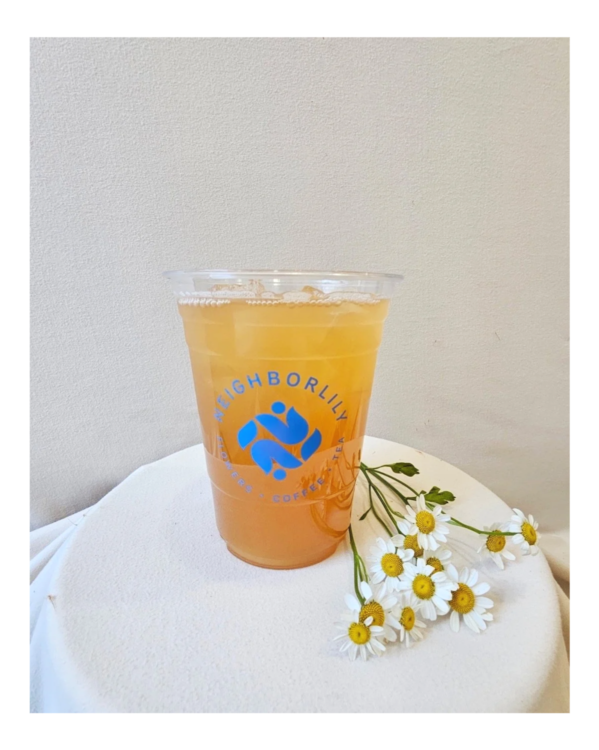 Business Launch with Neighborlily