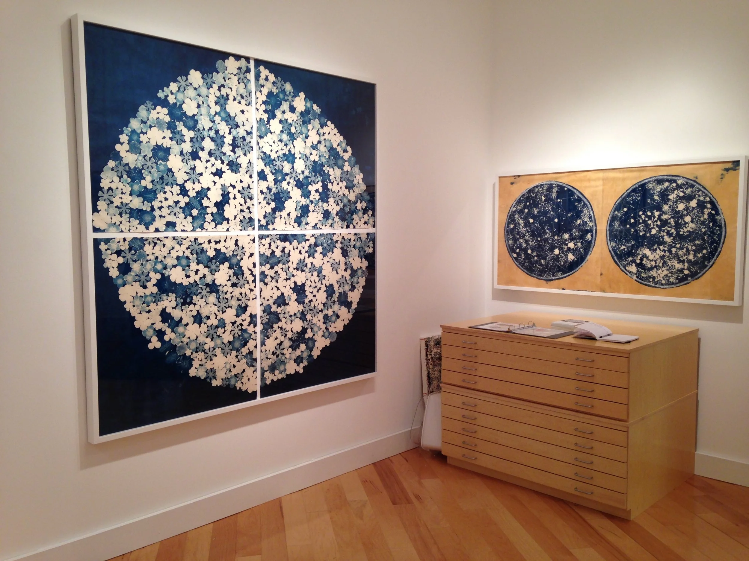 Botanical Disc 1 installed with A world, a satellite