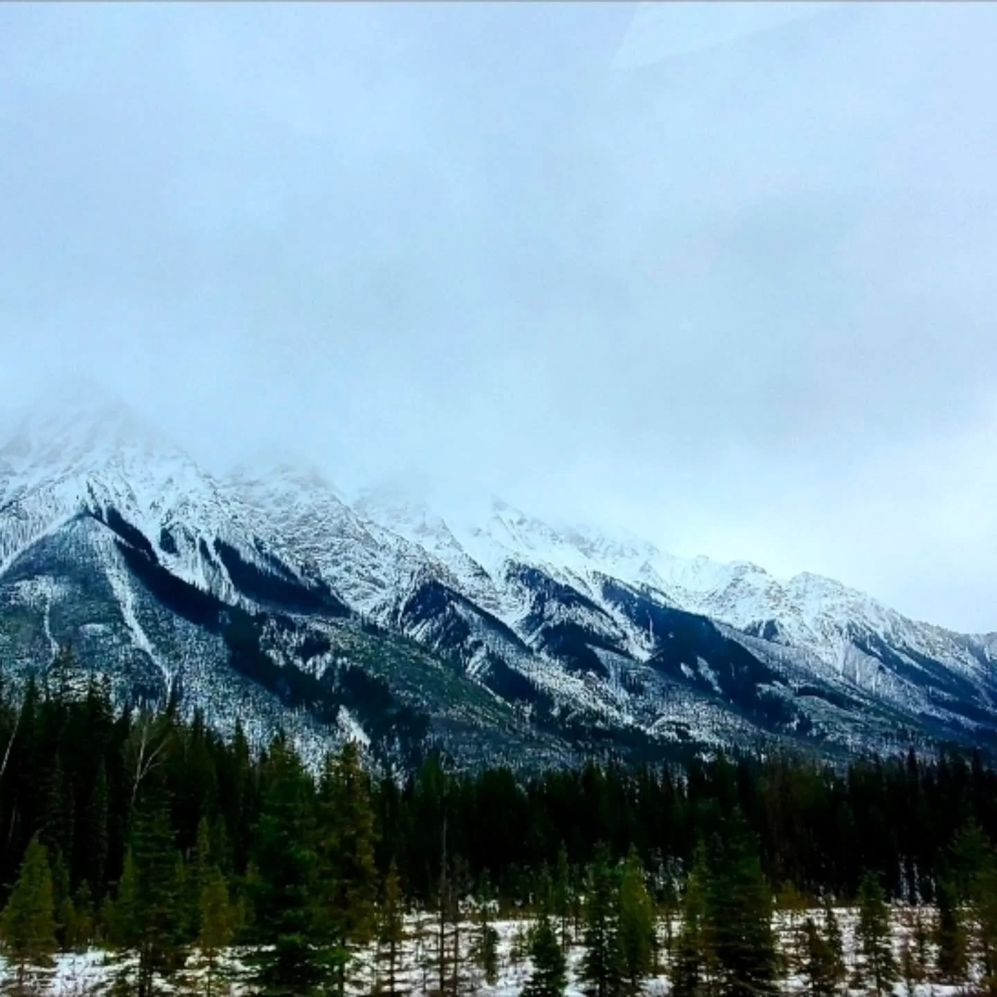 Slowing down is the purpose, not a flaw. I have a few pictures on my camera roll that i took a little while ago. Every once in awhile I like to look back on them and just remember the stillness of those moments.