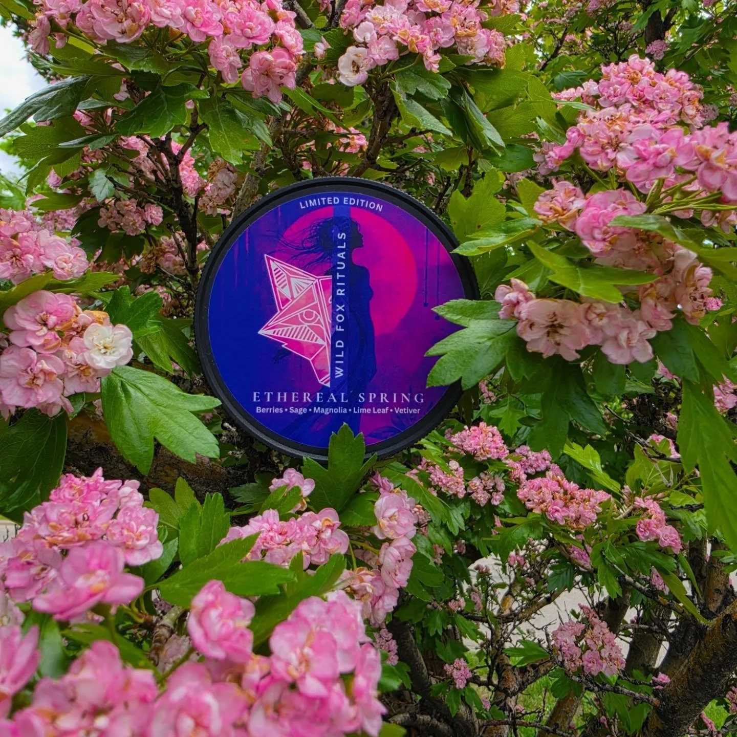What does your yard smell like in spring ?
Ethereal Spring was based off my backyard and the scents that come to me during this season 🥰